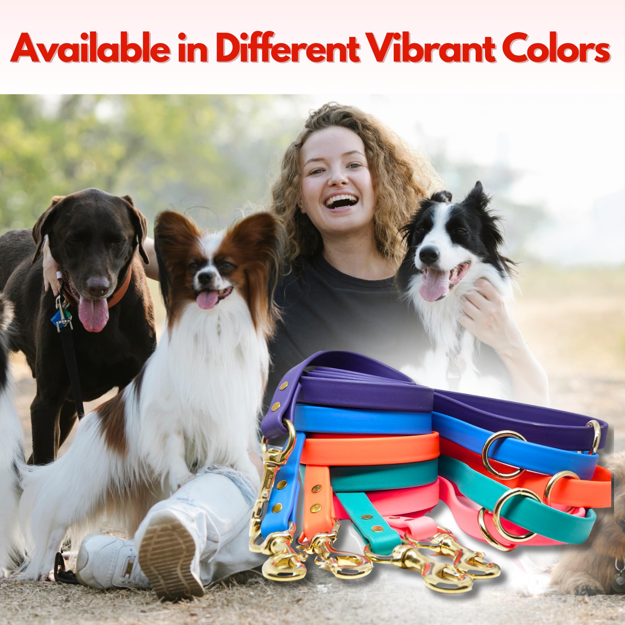 Jim Hodges Dog Training Gummy Dog Leash, Biothane, Dog Training Leash, Made In The Usa, 4 Feet, Various Sizes & Colors (5/8, Black)