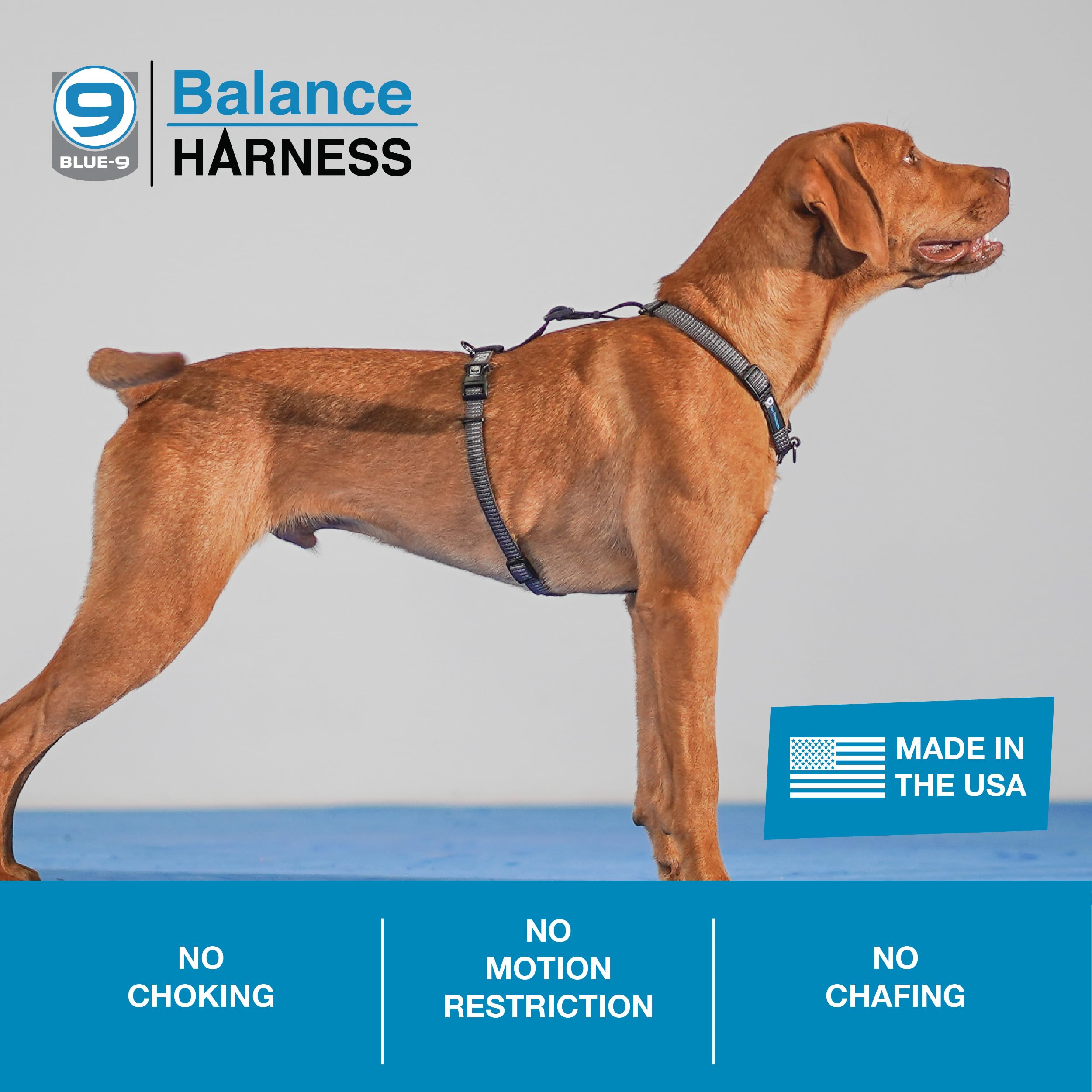 Blue-9 Reflective Buckle-Neck Balance Harness, Fully Customizable Fit No-Pull Harness With 3M Reflective Stitching, Ideal For Do