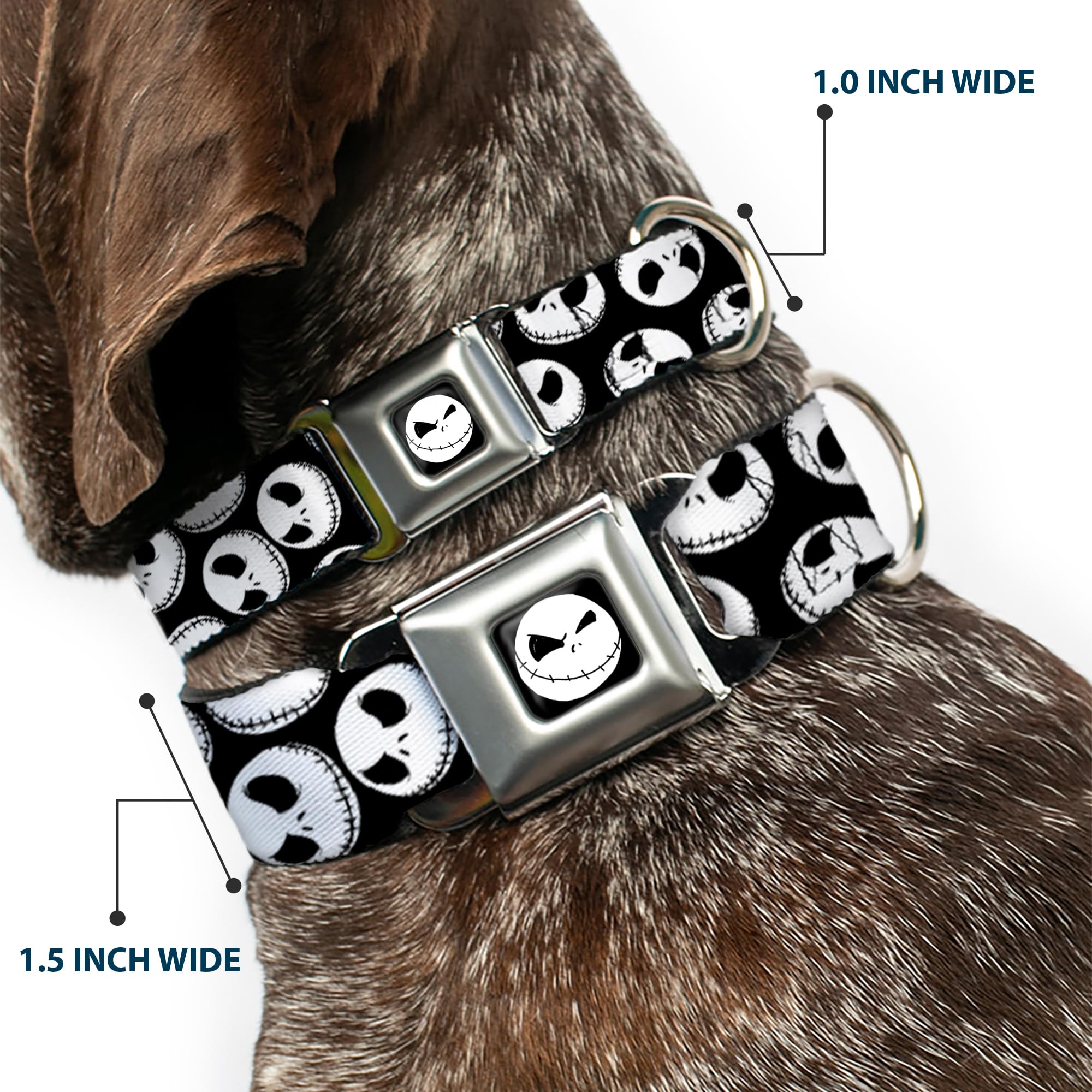 Buckle-Down Seatbelt Buckle Dog Collar - Nbc Jack Expressions Scattered Black/White - 1' Wide - Fits 9-15' Neck - Small