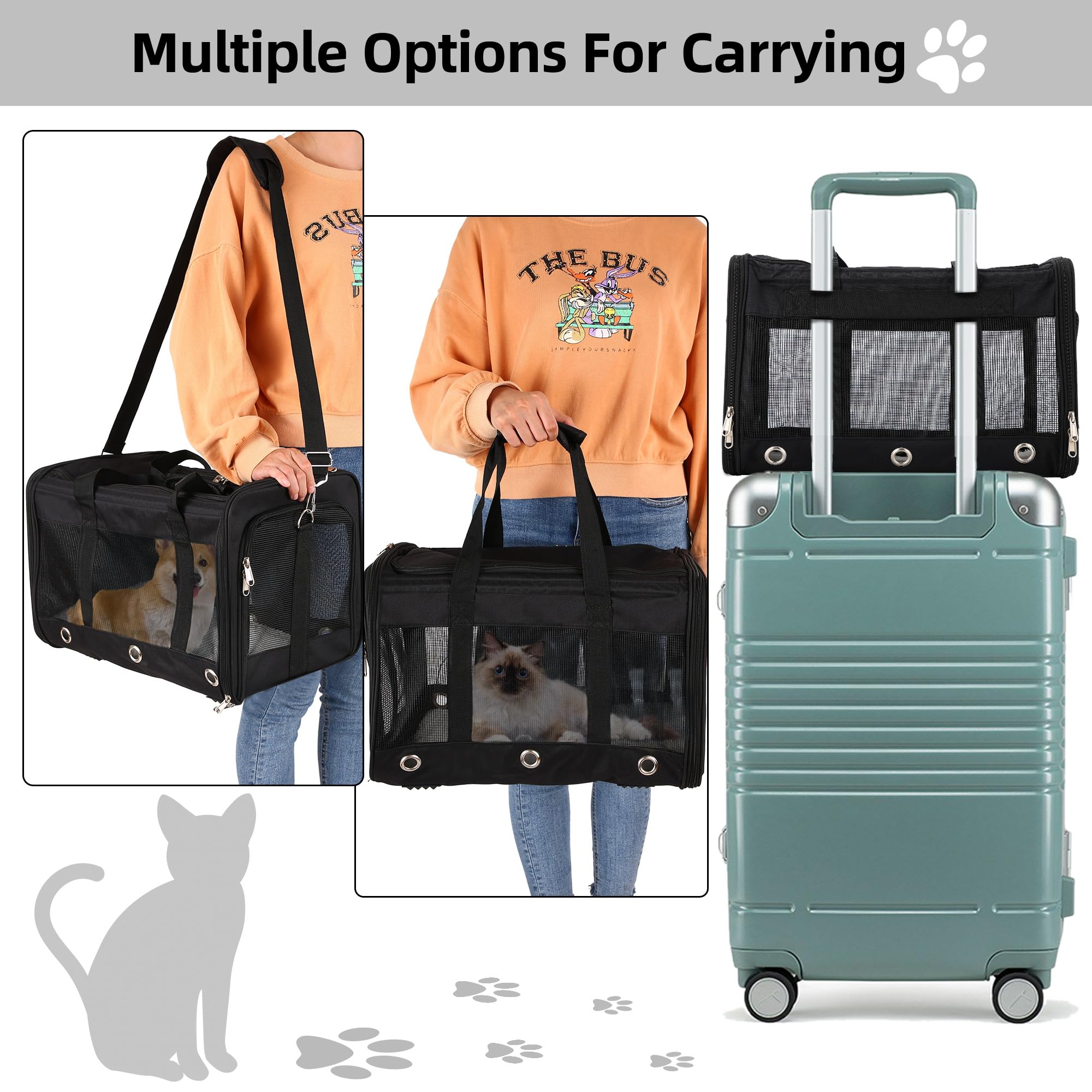 Soft Sided Cat/Dog Carrier