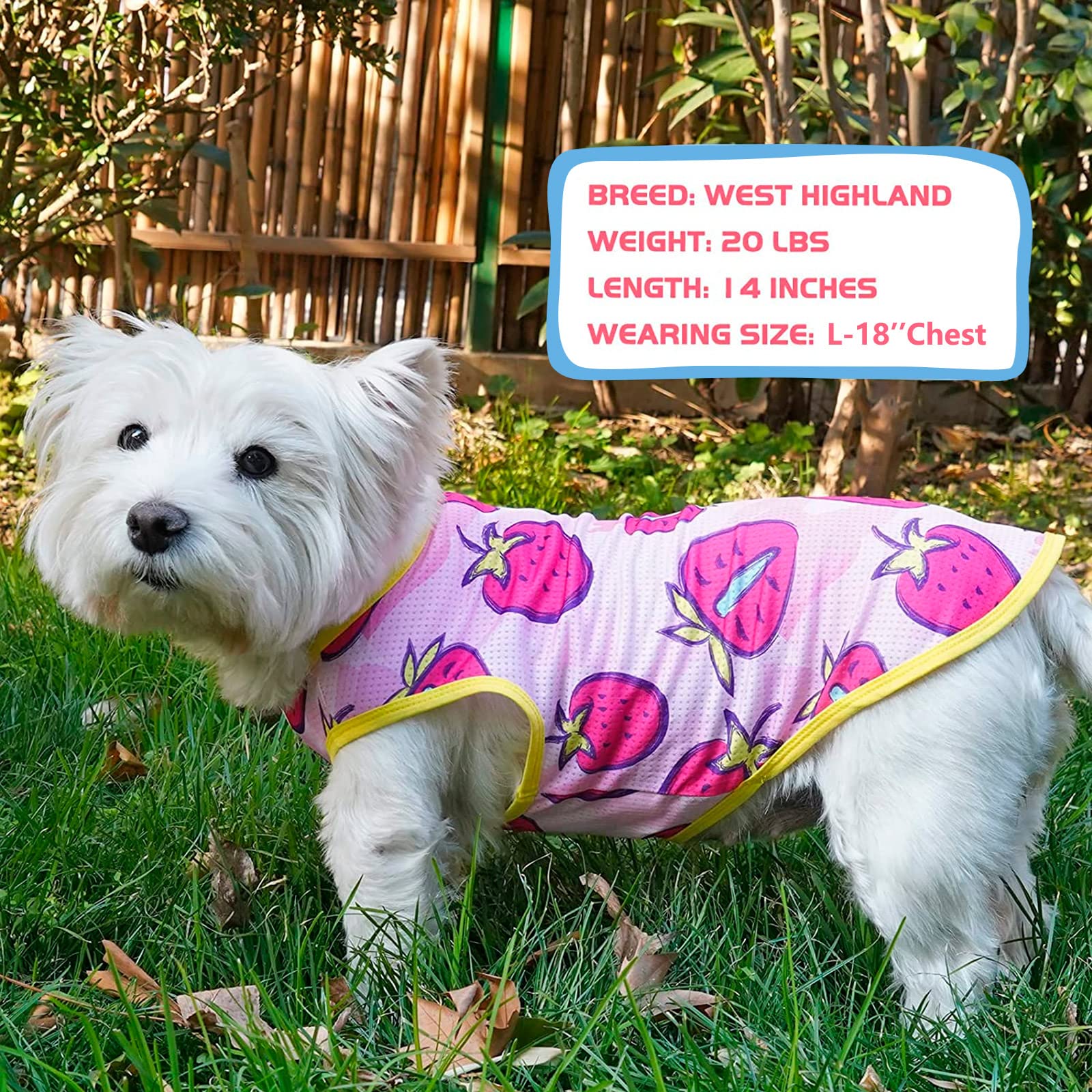 Kyeese 2 Pack Dog Shirt For Small Dogs Quick Dry Lightweight Dog T-Shirts With Reflective Label Tank Top Sleeveless Vest Cat Shirts Clothes For Summer Strawberry Pattern, Small, Strawberry+Rose