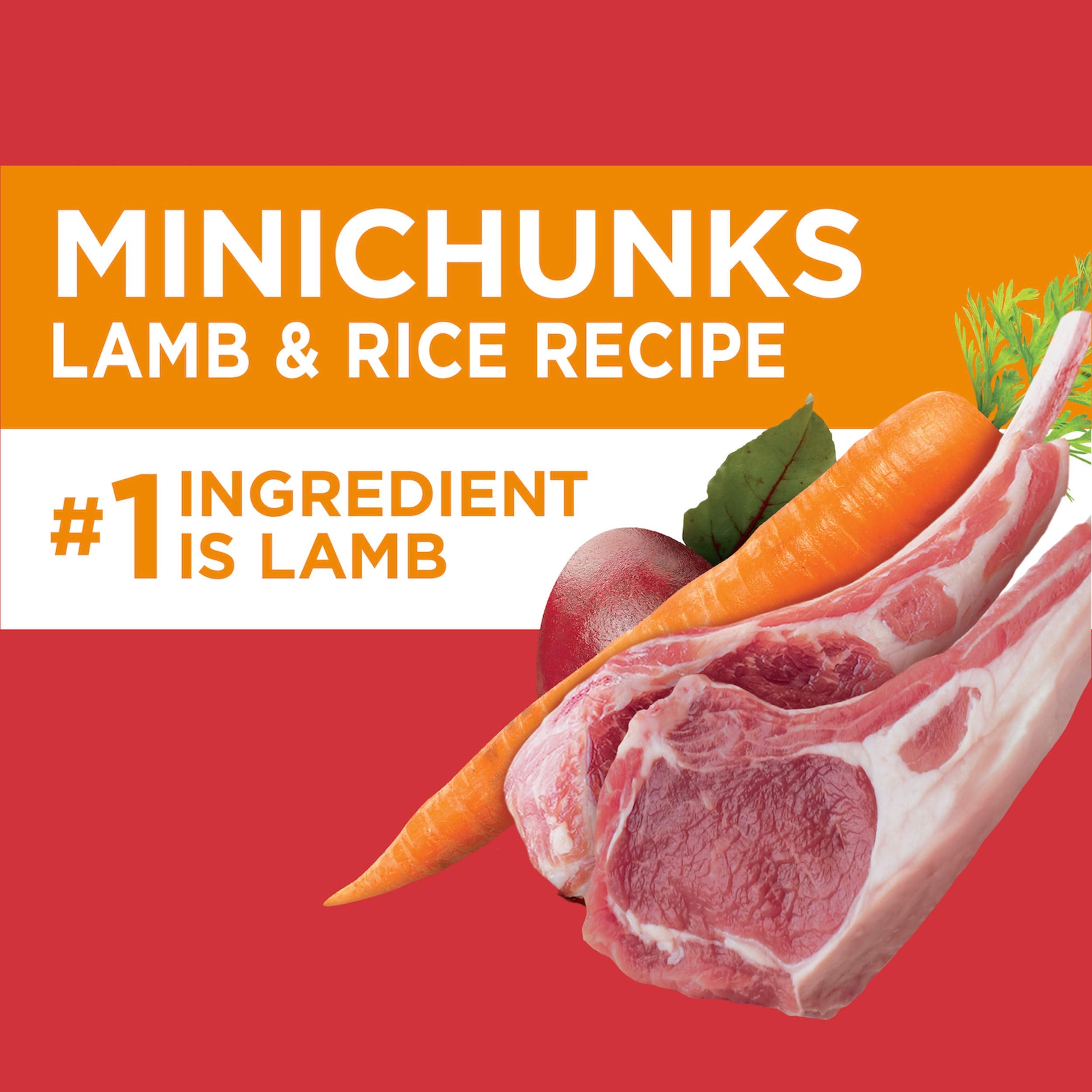 IAMS Minichunks Adult Dry Dog Food Lamb & Rice Recipe Dog Kibble, 15 lb. Bag