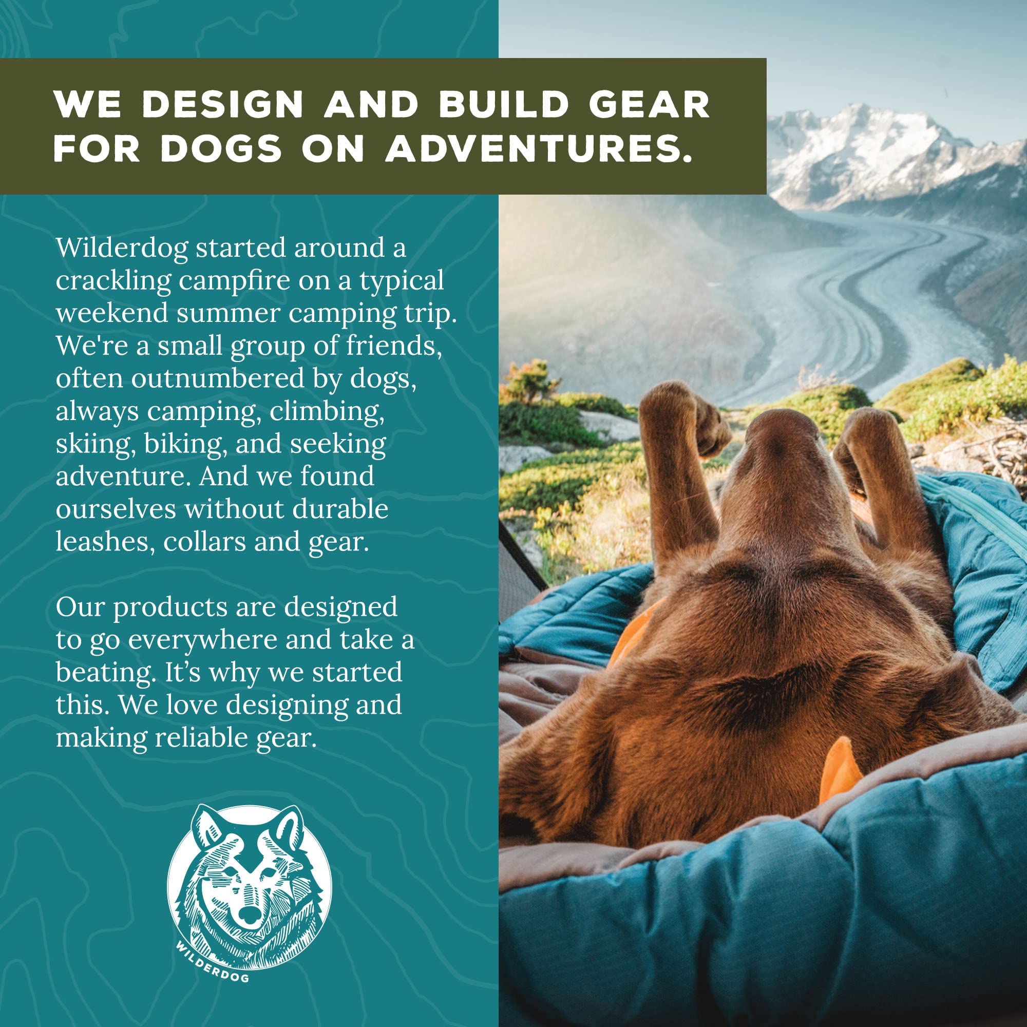 Wilderdog Climbing Rope Dog Collar - Outdoor Durable Climbing Rope Design With Heavy-Duty Secure Hardware For Safety - Adjustable To Fit 13'-18' Around With A 1' Band - Medium - Rainbow