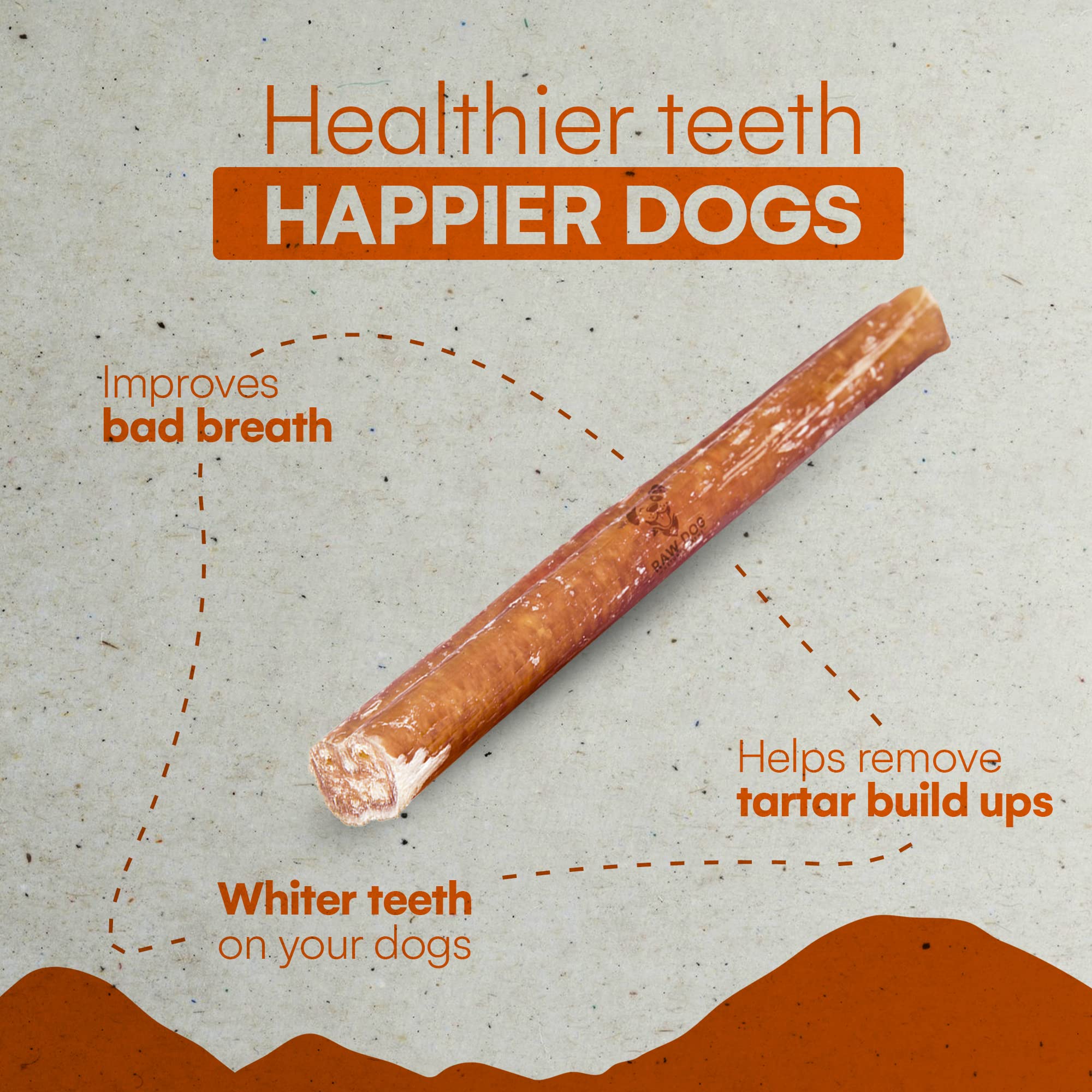 Raw Dog Bully Sticks All-Natural Dog Treats, 6IN Regular Size, 7pk - Premium Odor Free Dog Chews, 100% Beef, Grass Fed, Non-GMO