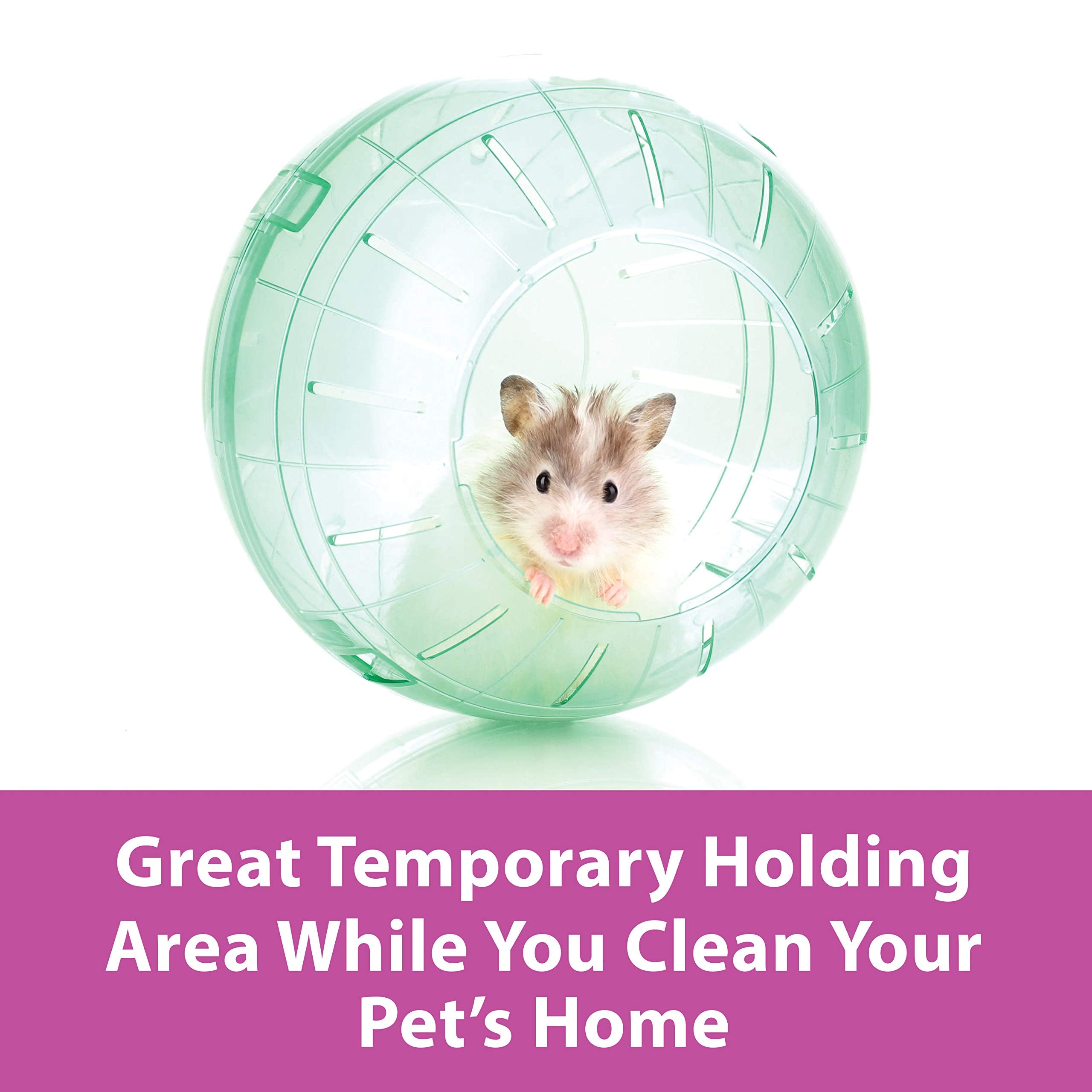 Kaytee 11.5 Clear Run-About Exercise Ball For Pet Rats & Chinchillas