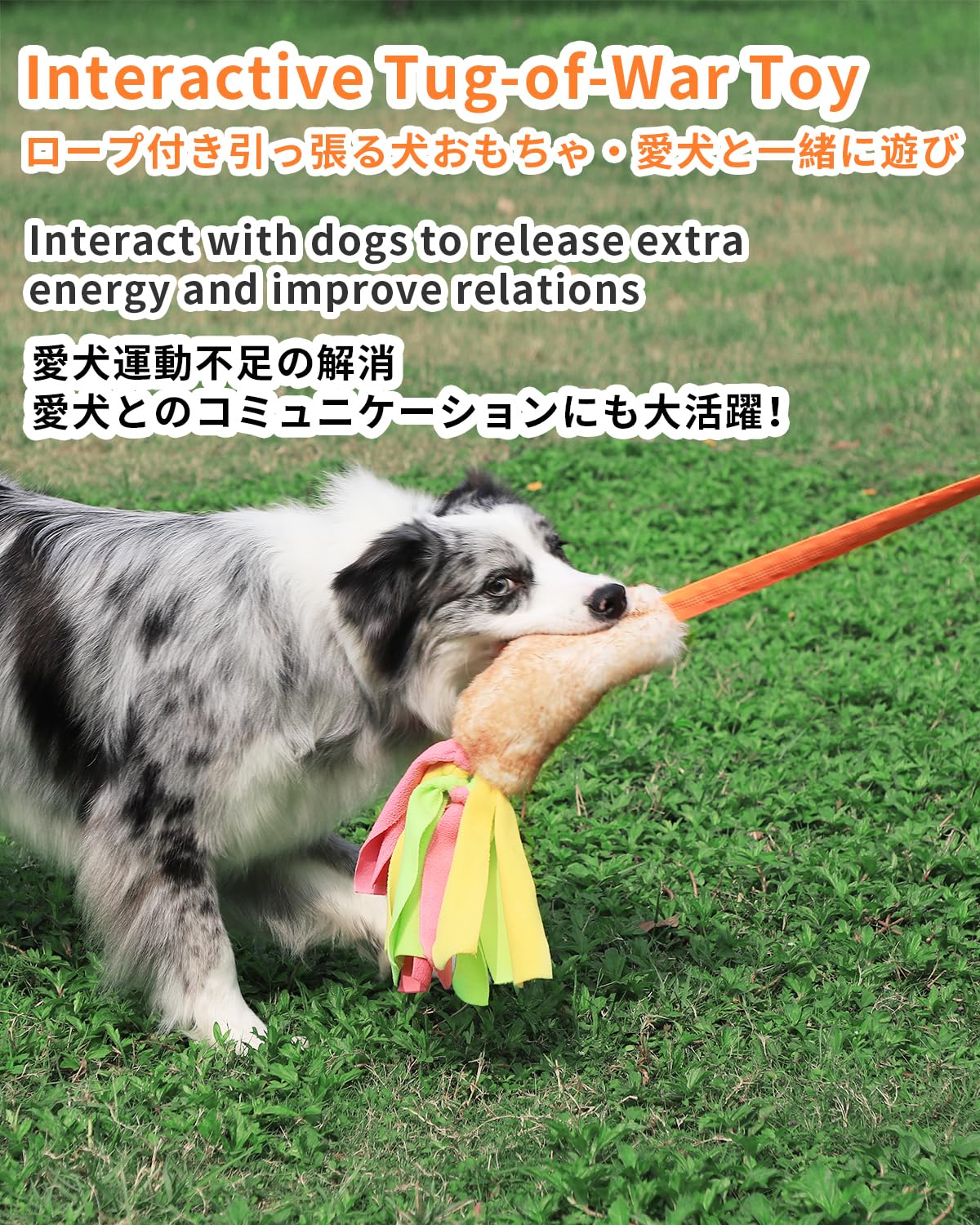 Schitec Dog Tug Toy, Bungee Tug Of War Rope Toys With Squeaky Sound For Exercise & Interactive Play Games, Puppy Training Pull T