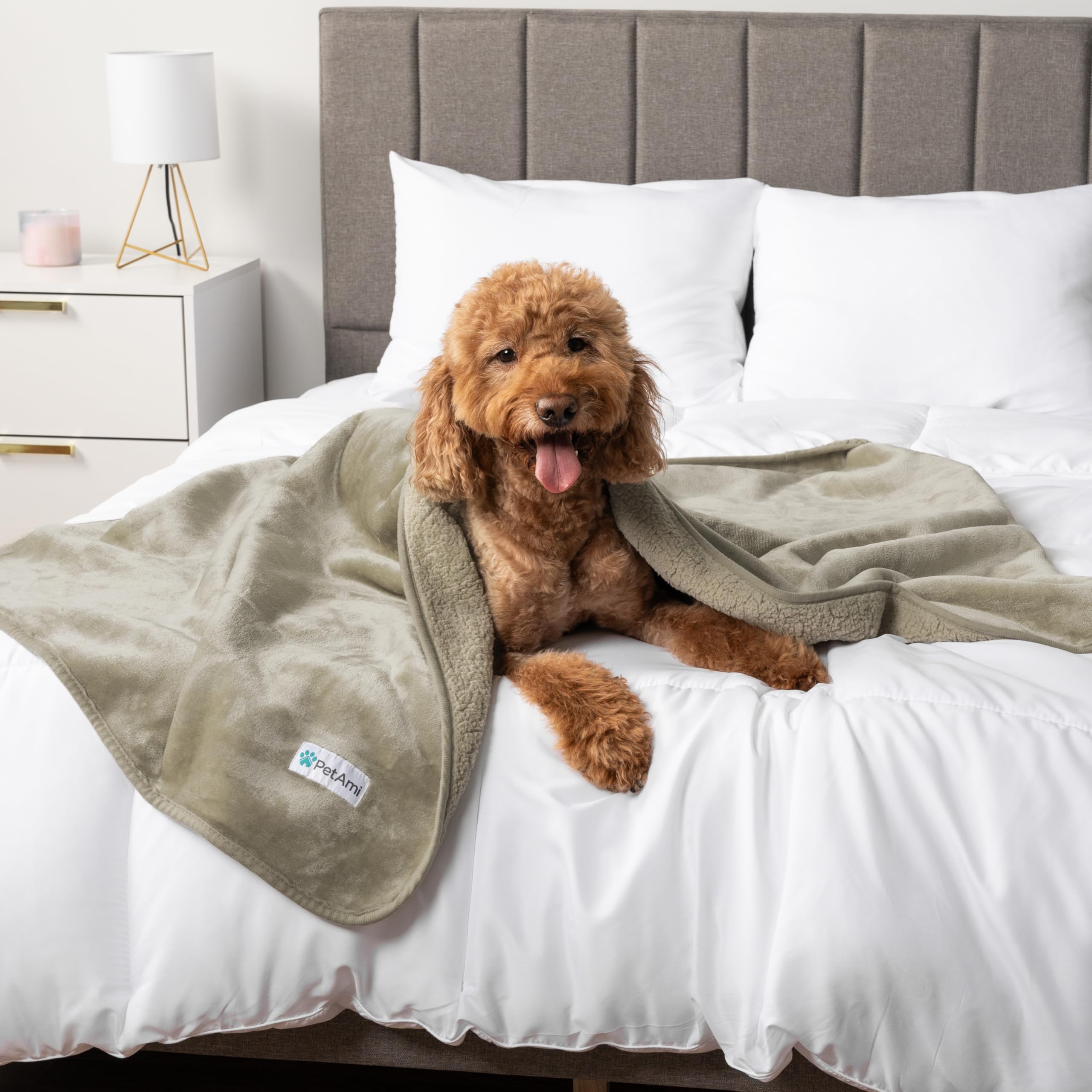 Petami Waterproof Dog Blanket For Medium Large Dogs, Pee Proof Pet Blanket For Bed Couch, Reversible Water Proof Blanket For Puppy Indoor Cat, Soft Dog Pee Crate Cover Washable, 60X80 Taupe
