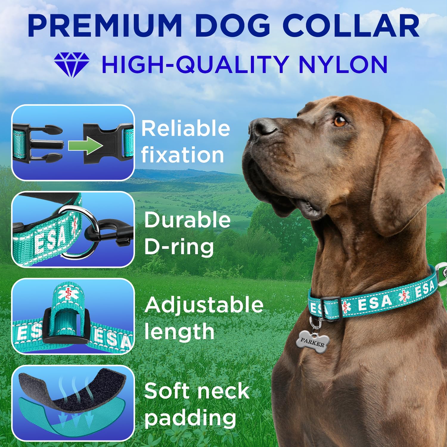 Teceum Reflective Pet Collar - Teal - Esa - Xs - Extra Soft Padding - Basic Nylon Dog Collar - Quick Release Buckle - Fits Small