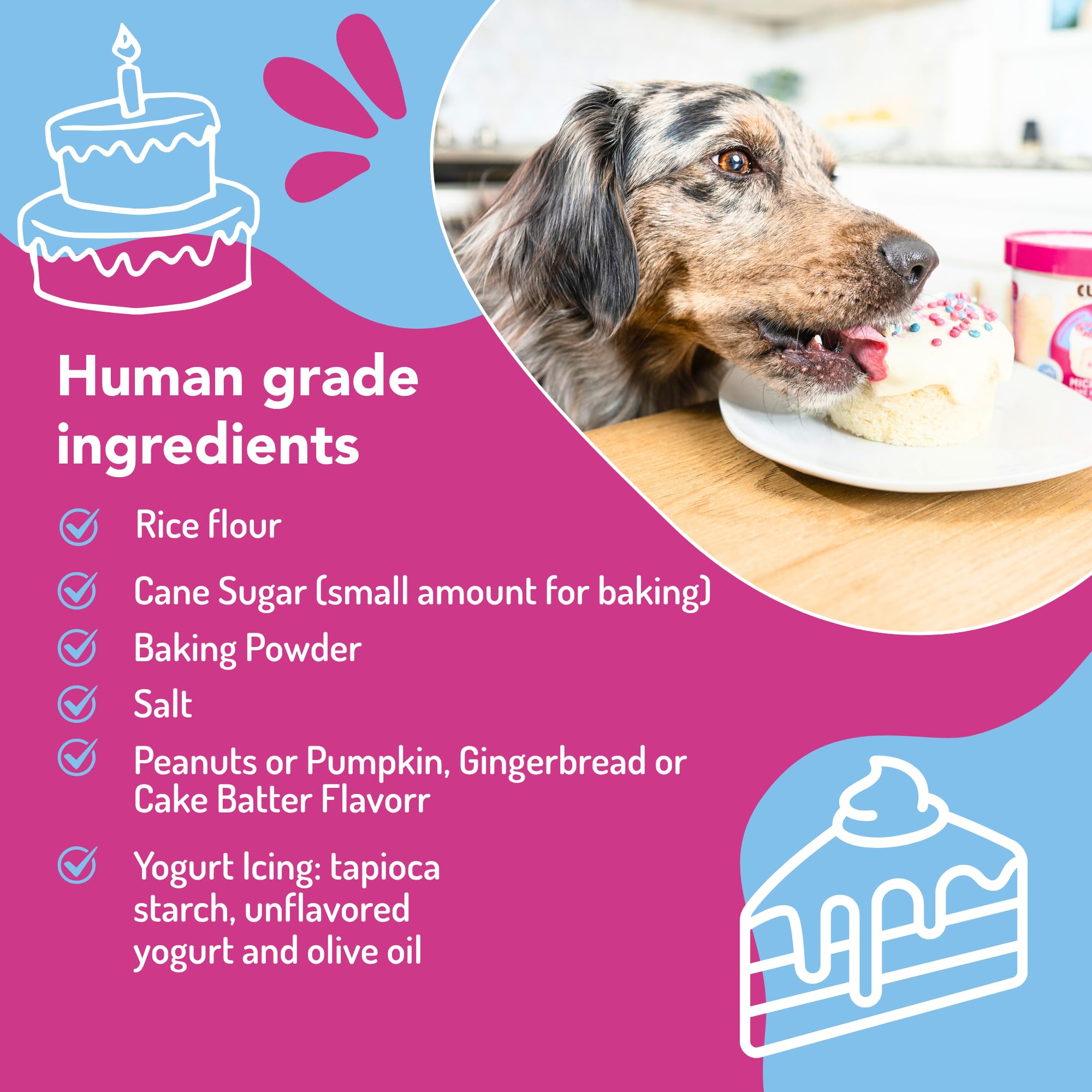 Cuppy Cake Microwave Dog Birthday Cake in a Cup - Just Add Water & Microwave, Ready in 2 Minutes - Yogurt Icing - (Peanut Butter