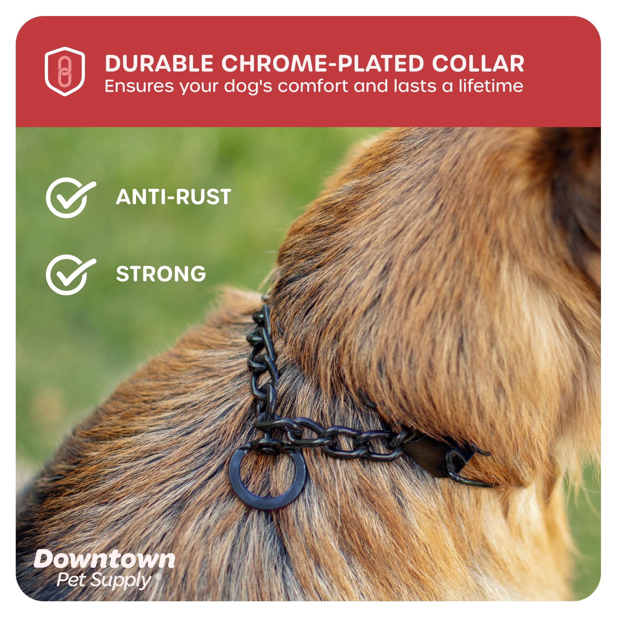 Downtown Pet Supply Chrome Plated Prong Collar for Dogs, Large - Adjustable, No-Choke and No Pull Dog Collar with Removable Link