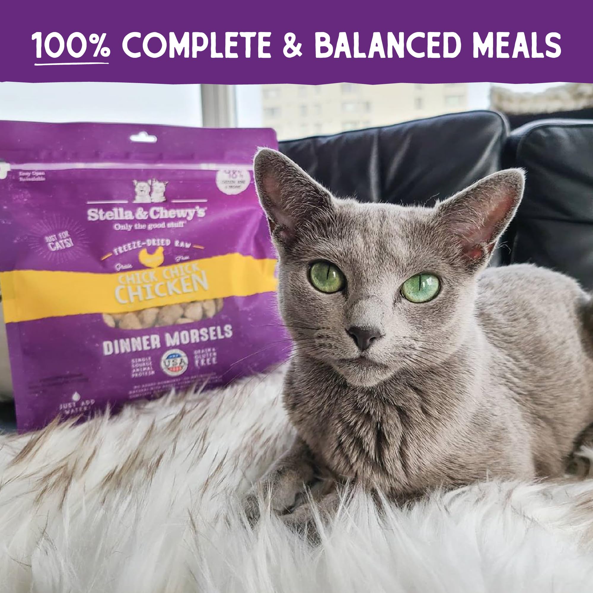 Stella & Chewys Freeze-Dried Raw Cat Dinner Morsels - Grain Free, Protein Rich Cat & Kitten Food - Chick Chick Chicken Recipe -