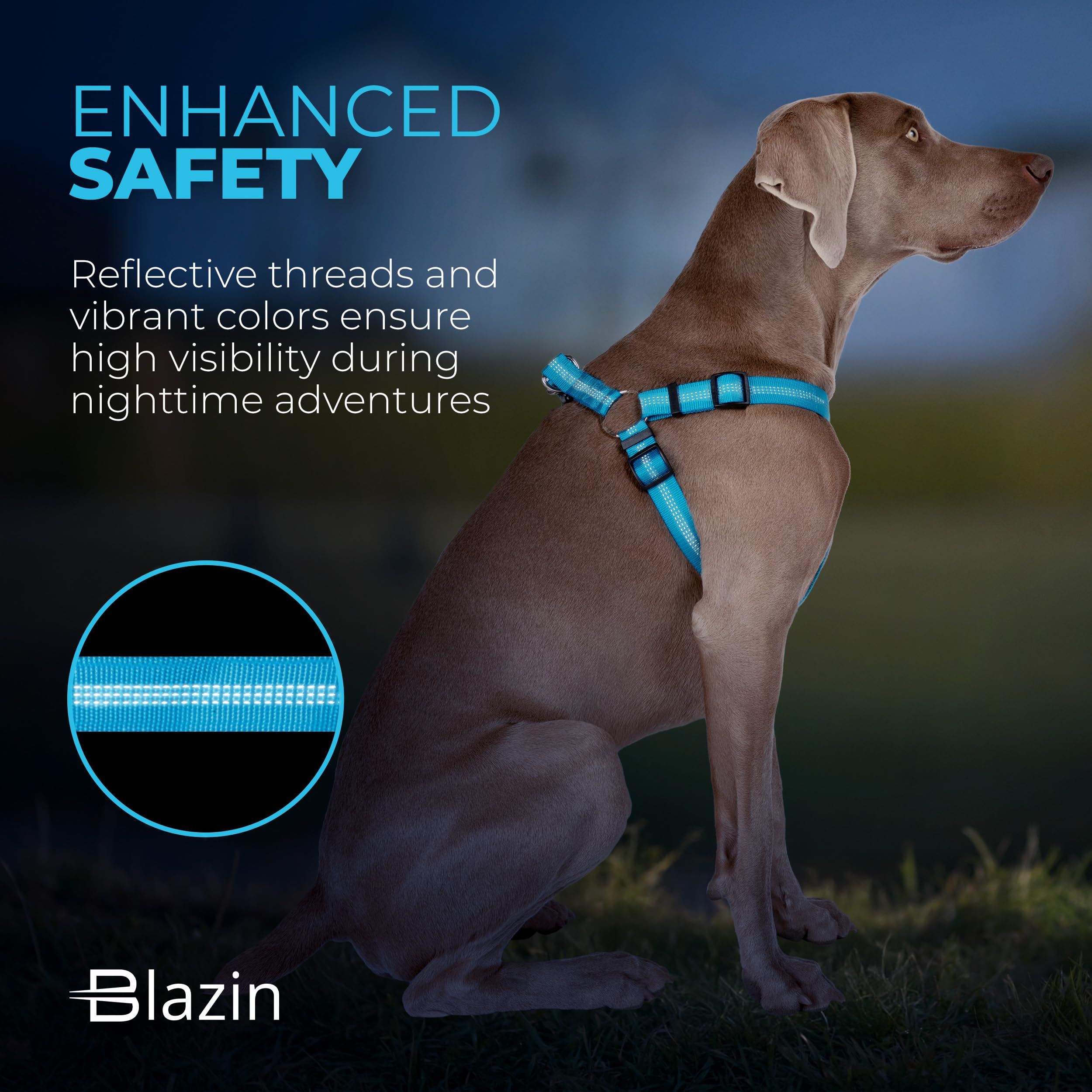 Blazin No Pull Dog Harness - Adjustable Step-In Reflective Nylon Vest Harness - Neoprene Padded For Extra Comfort (Small, Blue)