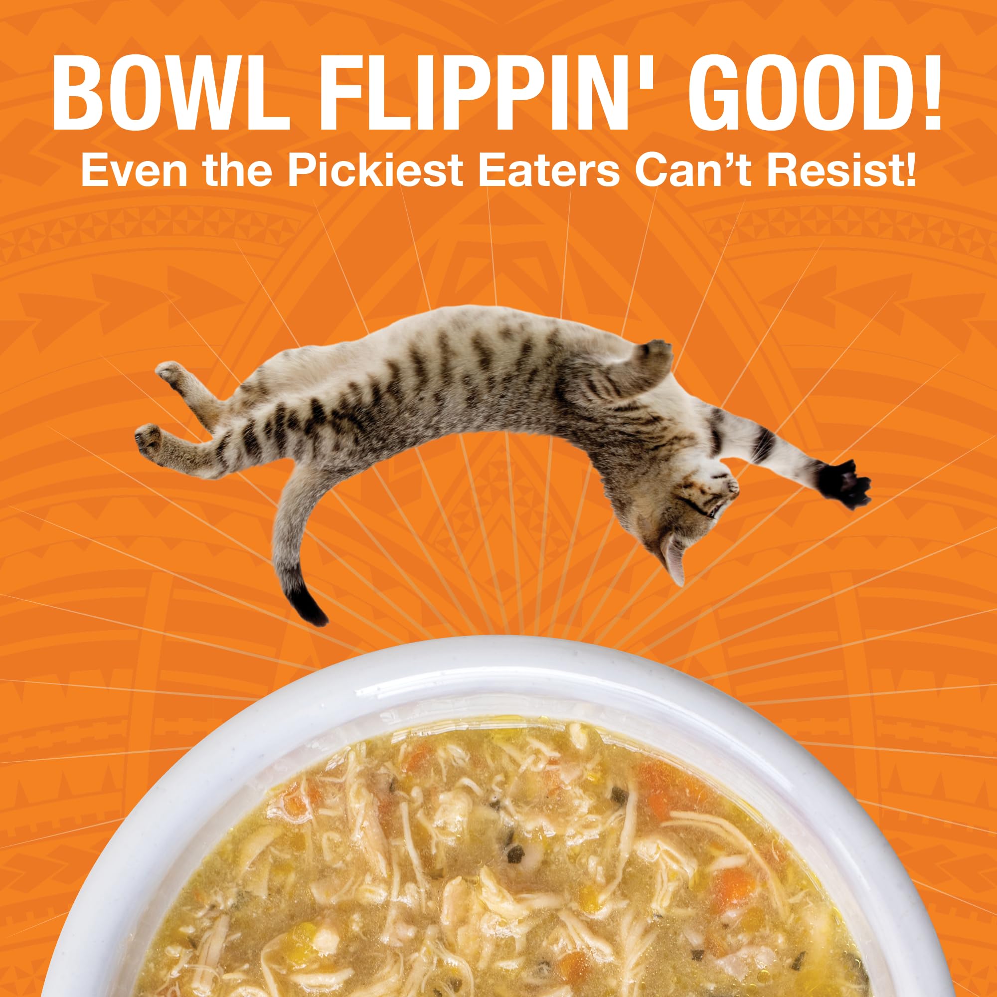 KOHA Pure Shreds Chicken Entr  e for Cats, High Protein Wet Cat Food, 5.5oz Cans (Pack of 12)