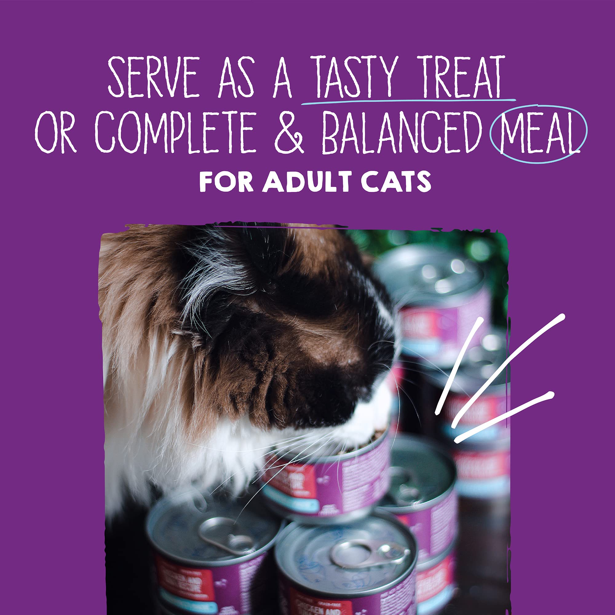 Stella & Chewys Carnivore Cravings Purrfect Pate Canned Wet Cat Food Variety Pack - (2.8 Ounce Cans, Case of 12)