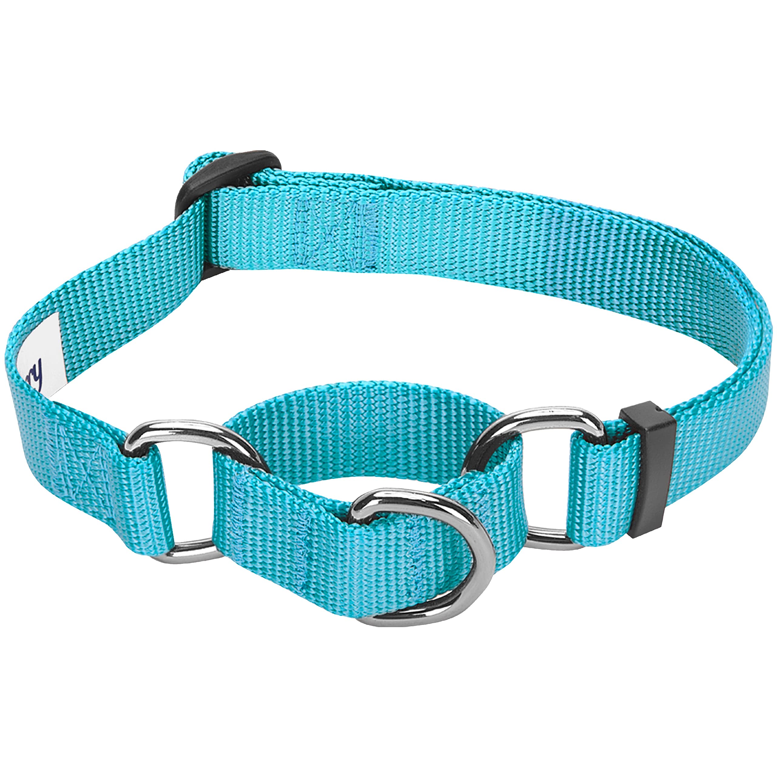 Blueberry Pet Essentials Martingale Safety Training Dog Collar, Turquoise, Large, Heavy Duty Nylon Adjustable Collars For Dogs