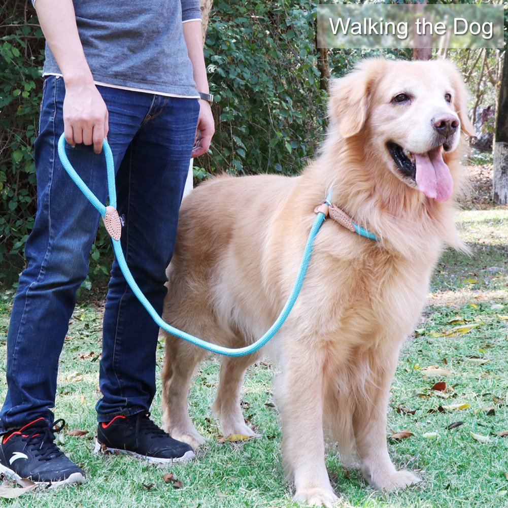 Grand Line Slip Lead Dog Leash, 5Ft Reflective Slip Rope, Puppy Training Walking Controlling Lead, Slip Collar Pet Leash For Small, Medium, Large Dogs (Blue, Large-3/5In X 5Ft)