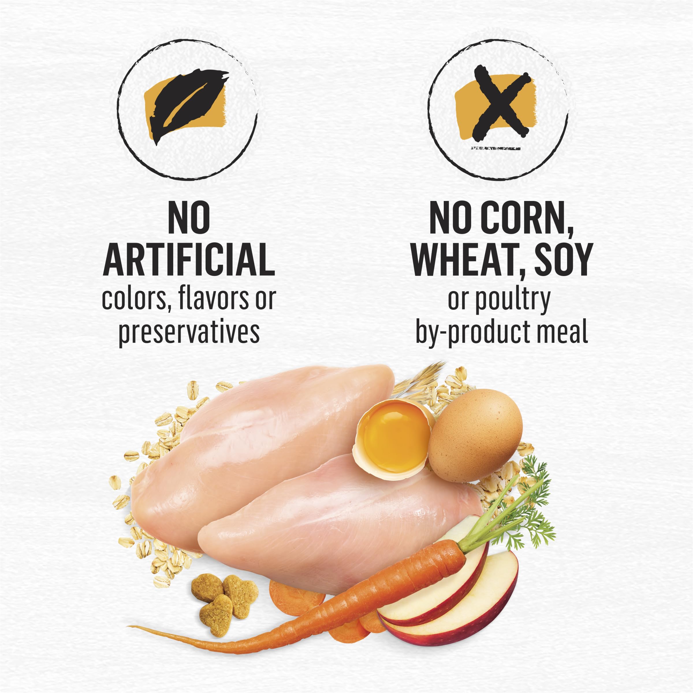 Purina Beyond Natural Dry Cat Food Wholesome Ingredients for Whole Health White Meat Chicken and Whole Oat Meal Recipe - 13 lb.