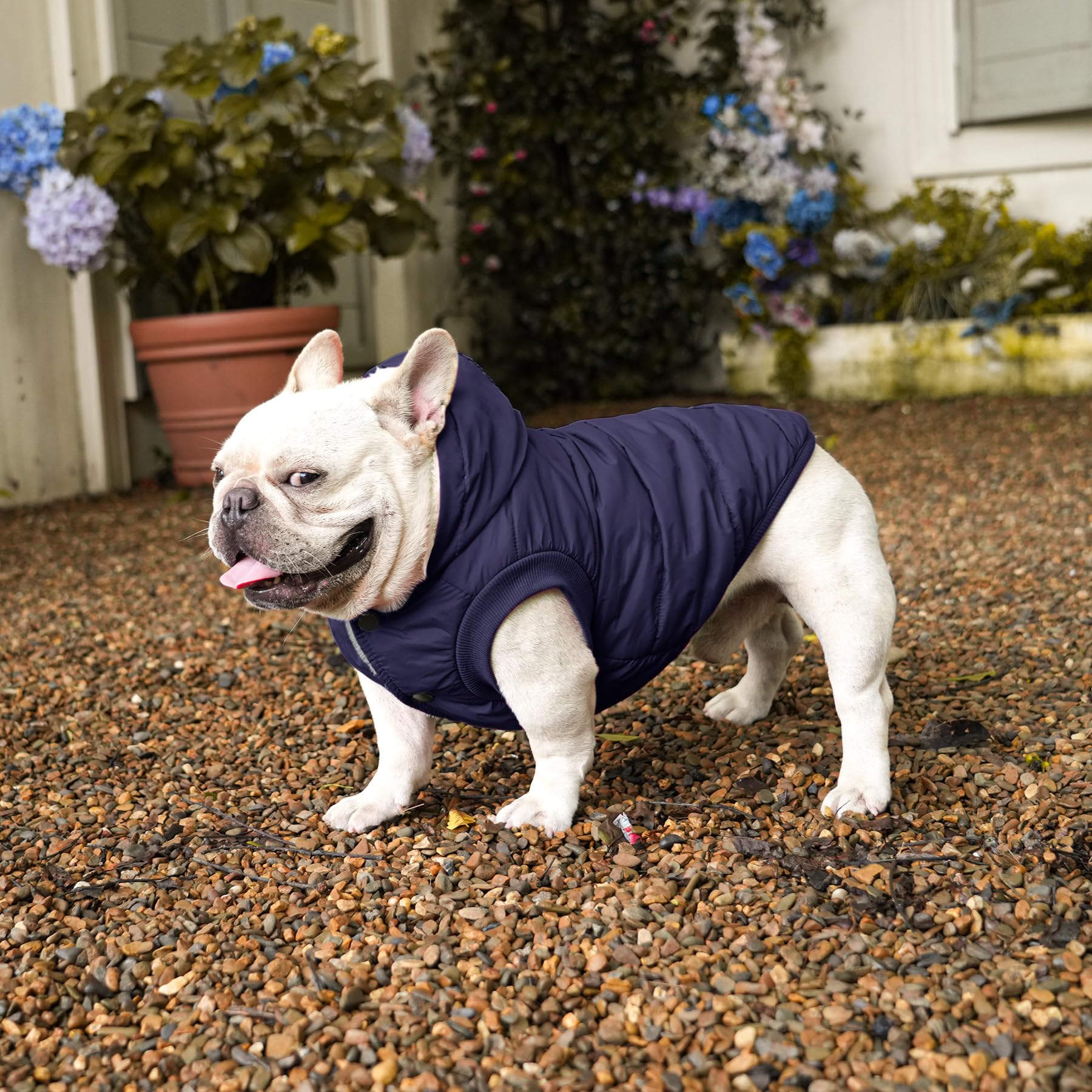 Vecomfy Fleece Lining Extra Warm Dog Hoodie In Winter For Large Dogs Jacket Pet Coats With Hooded,Blue Xl