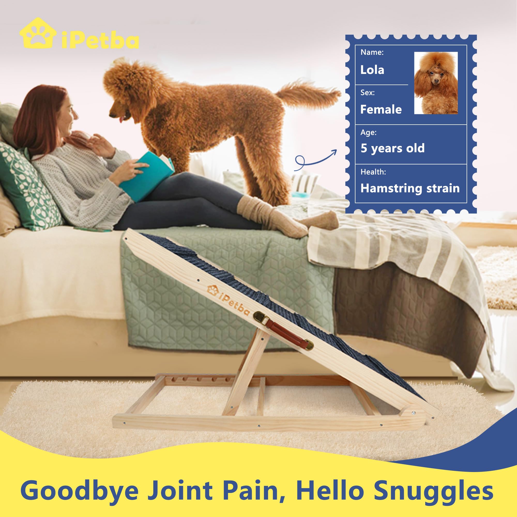iPetba Dog Ramp for Bed, Upgraded 2.0 Version, Dog Ramp for Couch Pet Ramps for Small Dogs Indoor Small Dog Ramps Foldable and P