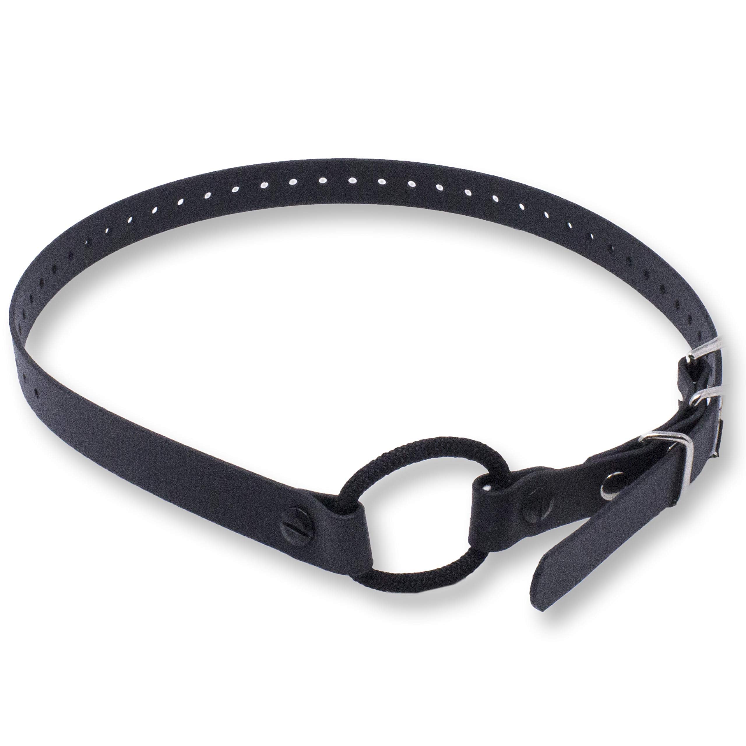 Educator Bungee Dog Collar, Biothane, Waterproof, Odorproof, Metal Buckle And D Ring With Comfort Bungee Loop Adjustable For Custom Fit, 3/4-Inch, Black