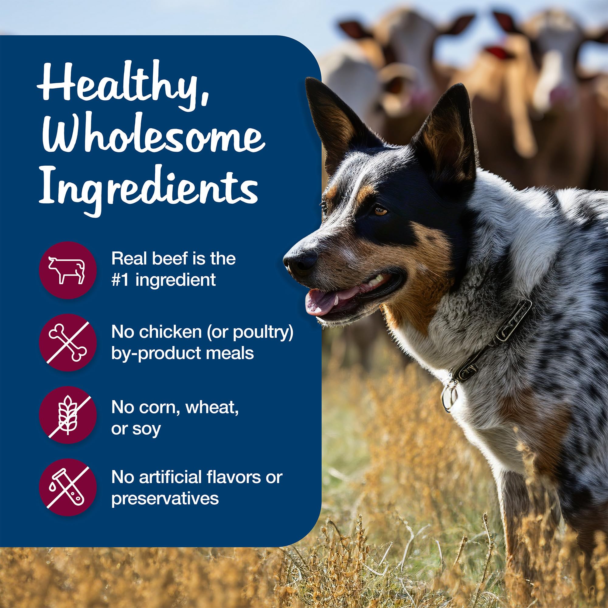 Blue Buffalo Blue s Stew Grain-Free Wet Dog Food, Made with Natural Ingredients, Hearty Beef Stew, 12.5-oz. Cans (12 Count)