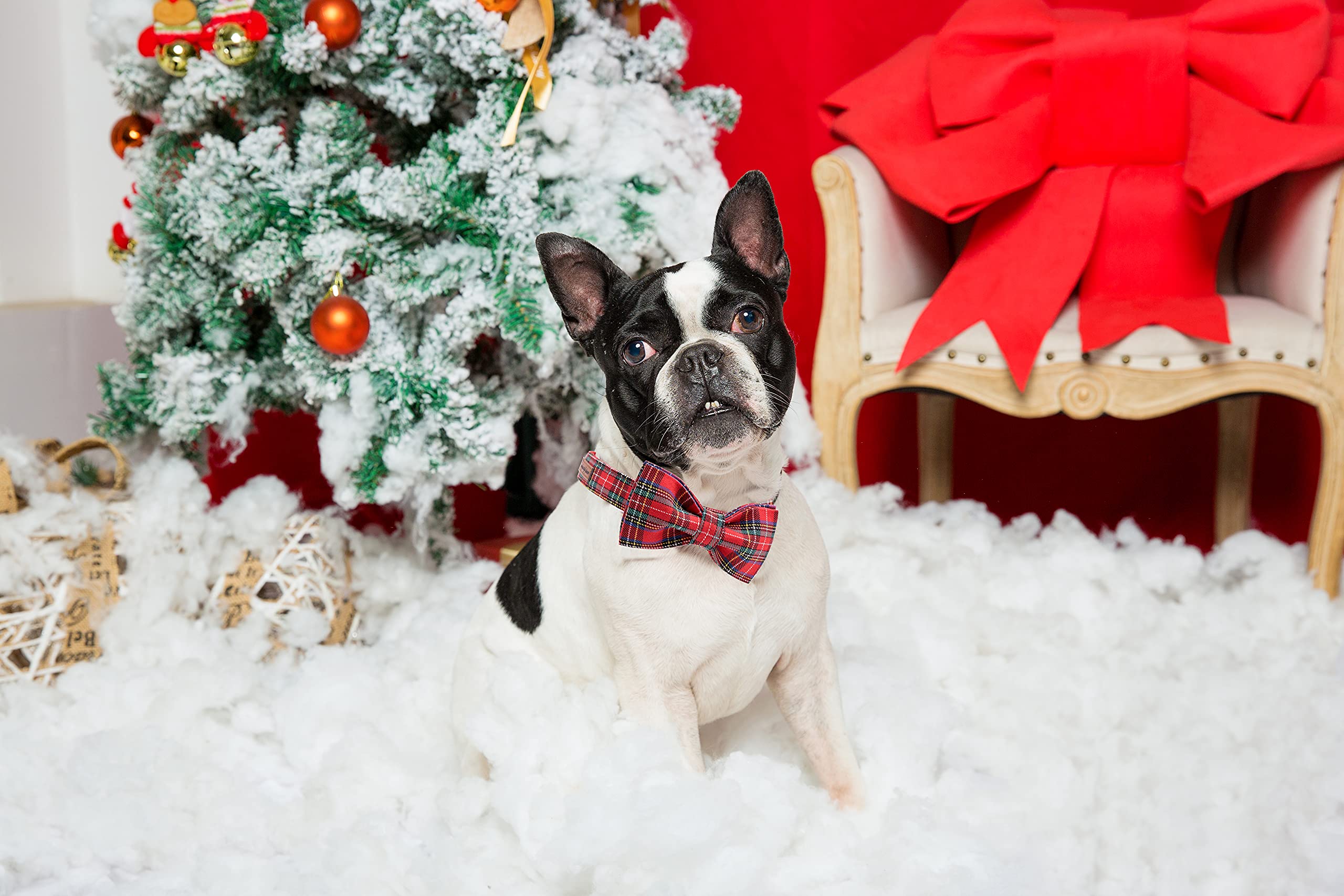 Unique Style Paws Christmas Dog Collar Bow Tie Collar Adjustable Collars For Dogs And Cats Small Medium Large