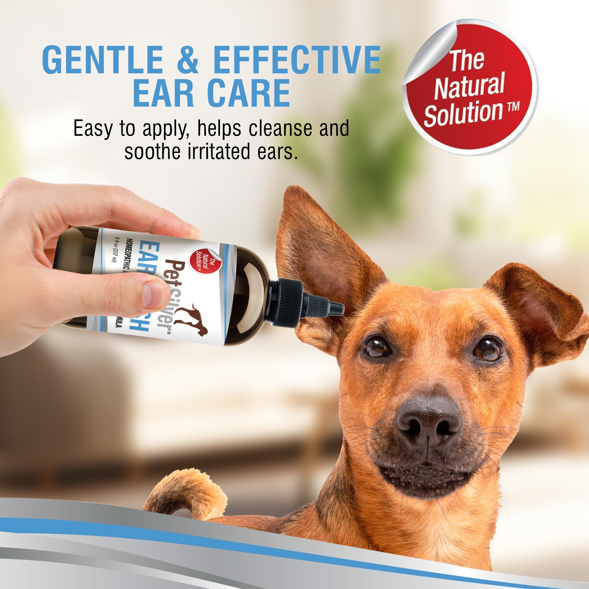 PetSilver Dog Ear Cleaner - Chelated Silver for Yeast & Itchy Relief - 8 fl oz - Made in USA