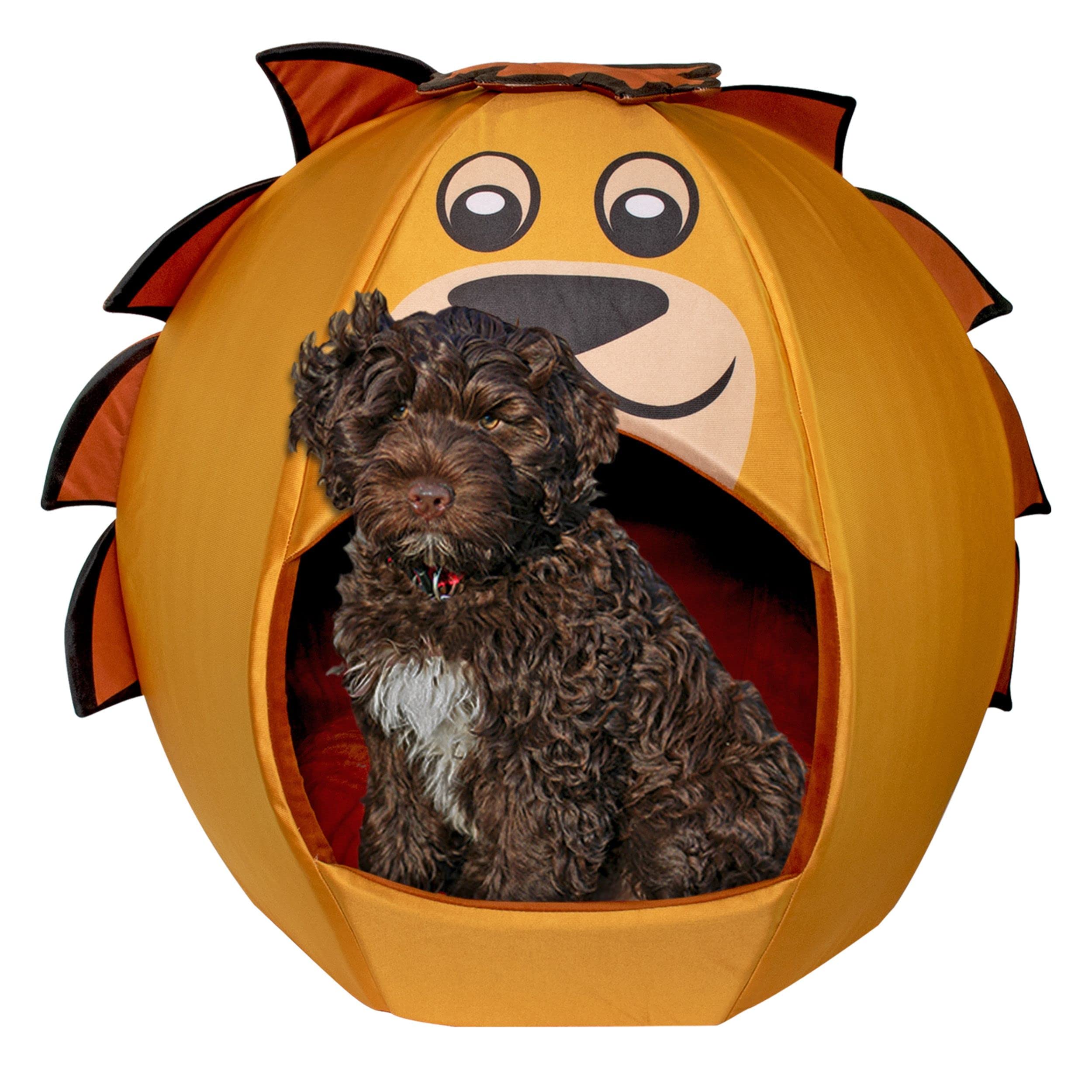 Maccabi Art Lion Theme Dog Bed - Cute Igloo Style Pet Bet - Fits Medium Dogs, Puppies, Cats - Pillow Insert With Plush Lined Int