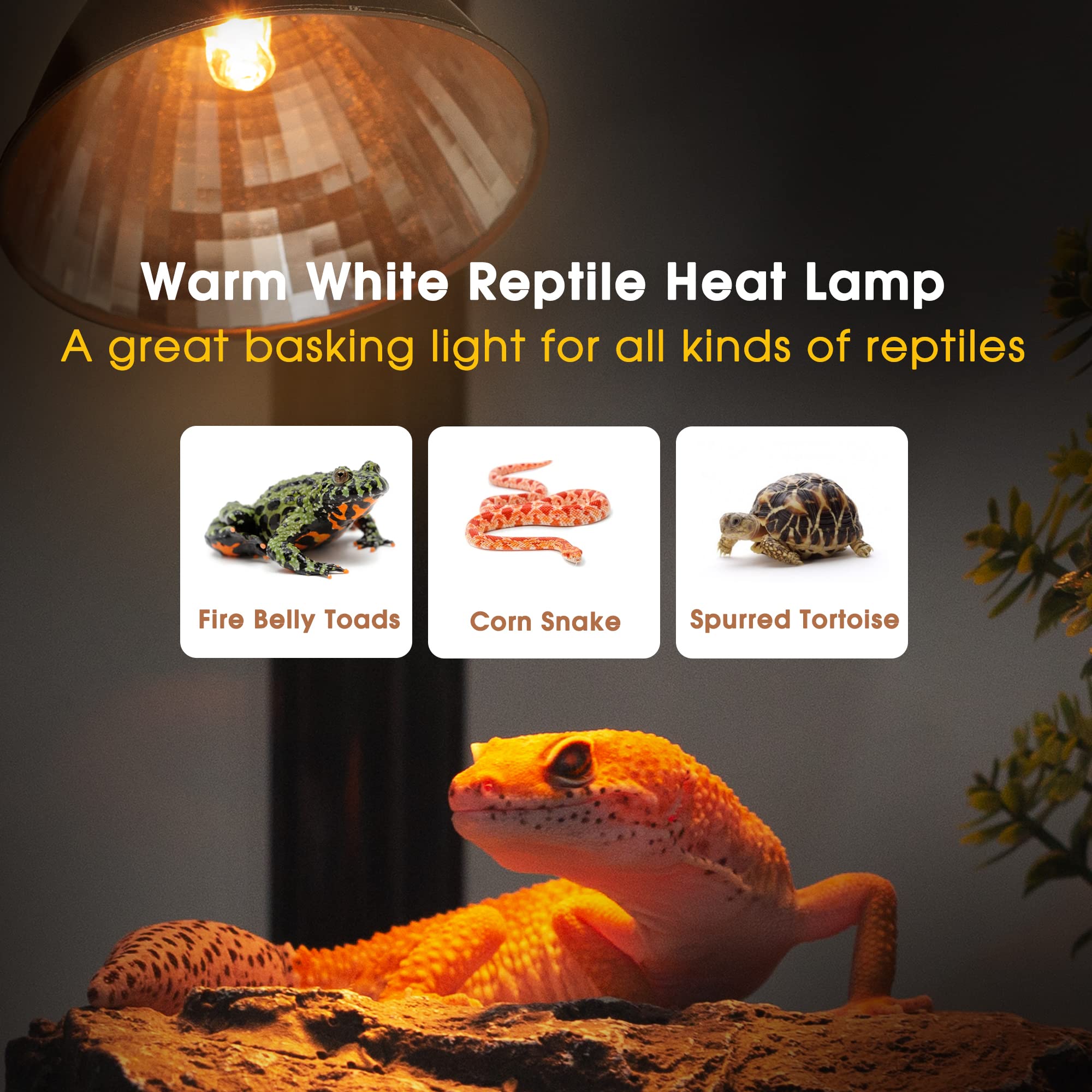 Briignite G9 Heat Lamp Bulbs for Reptile, Mini Reptile Light, Dimmable G9 Mini Heat Bulbs Warm White 50W, 2 Pin Base UVA Reptile