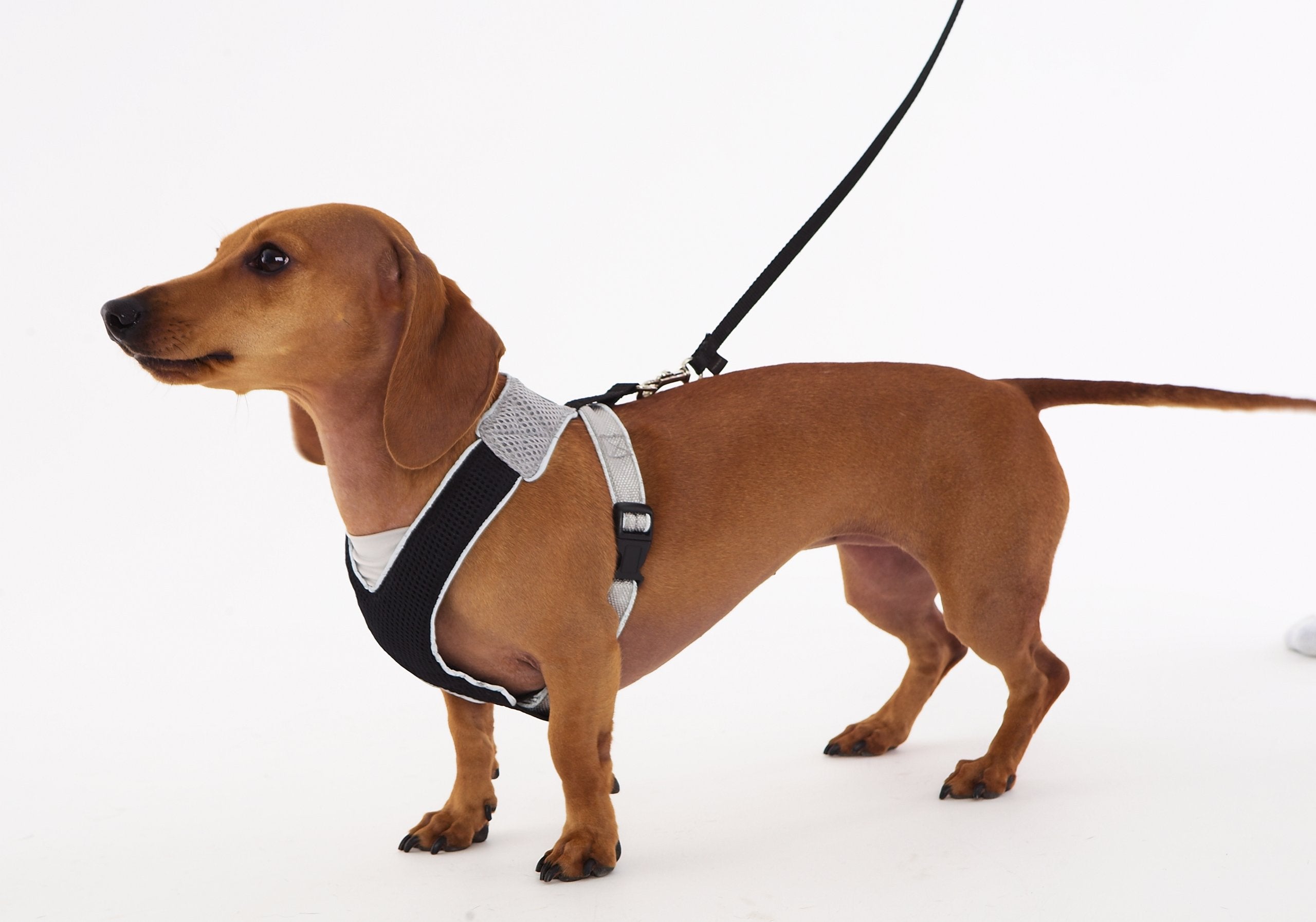 Doggles V Mesh Dog Harness, Pink/Gray, XX Small