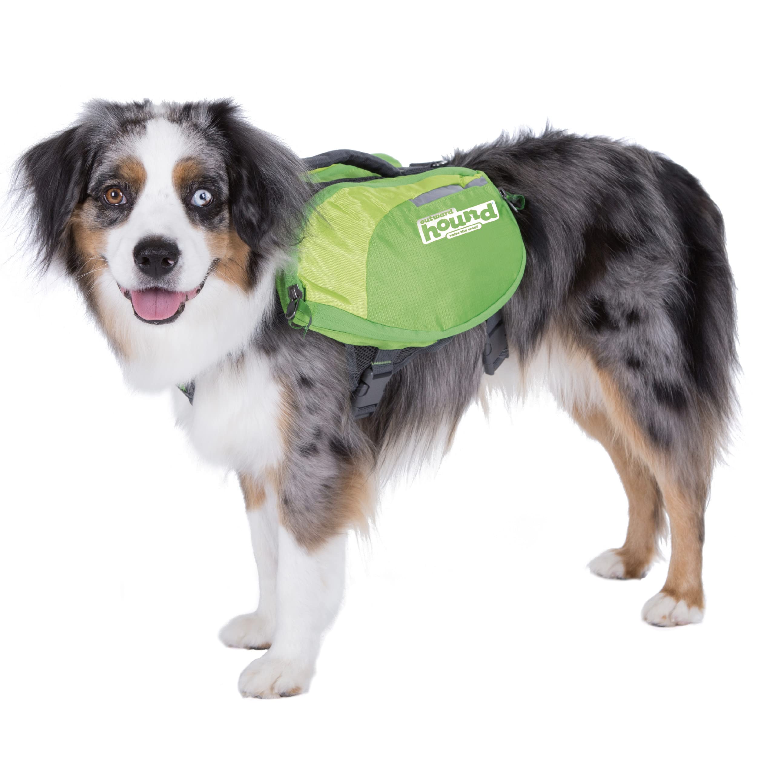 Outward Hound DayPak Green Dog Saddleback Backpack, Medium