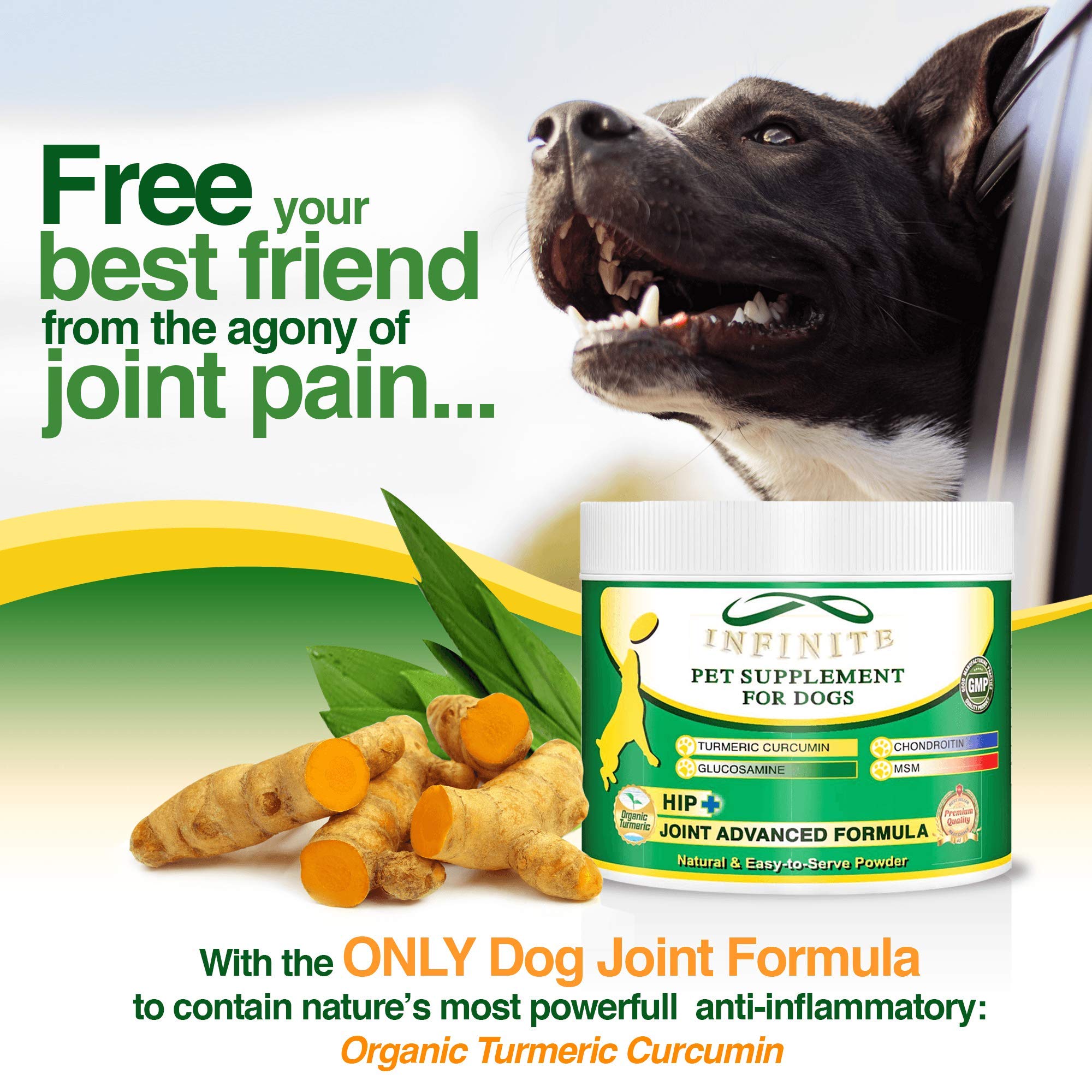 Hip & Joint Supplement Powder