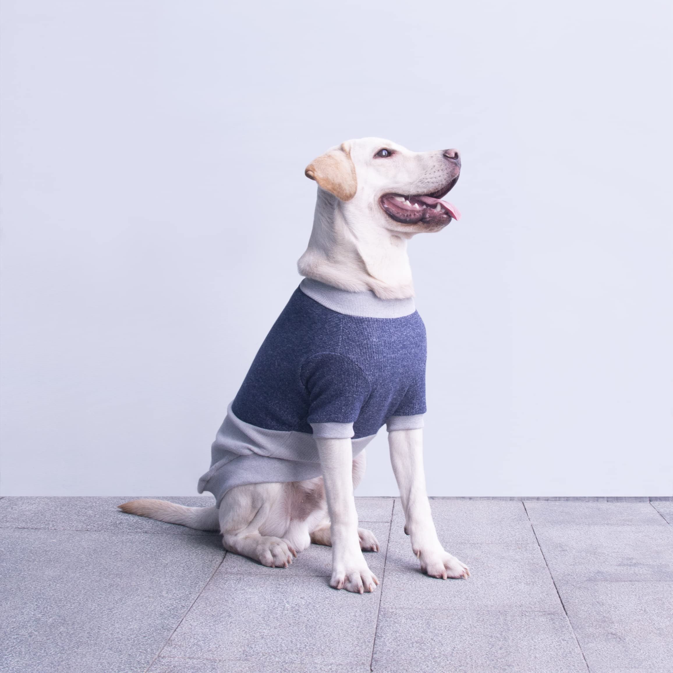 Arunners Extra Large Dog Sweaters Warm Clothes Pullover Sweatshirts For Labrador Rottweiler Great Dane, Blue Grey, 3X-Large