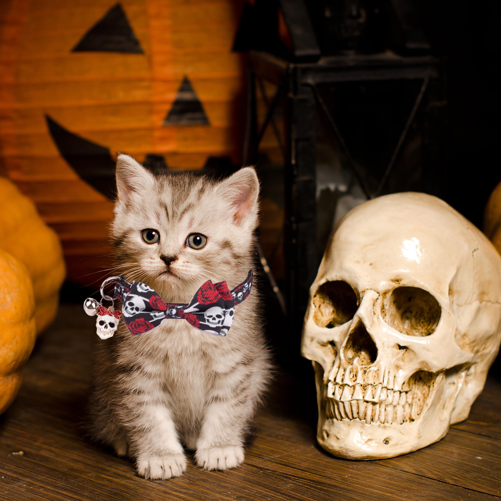 Adoggygo Halloween Cat Collars With Bow Bell, Breakaway Cat Bowtie Collar Spider Web Skull Pattern Halloween Collars For Girl Boy Cats Kittens (Halloween-2)
