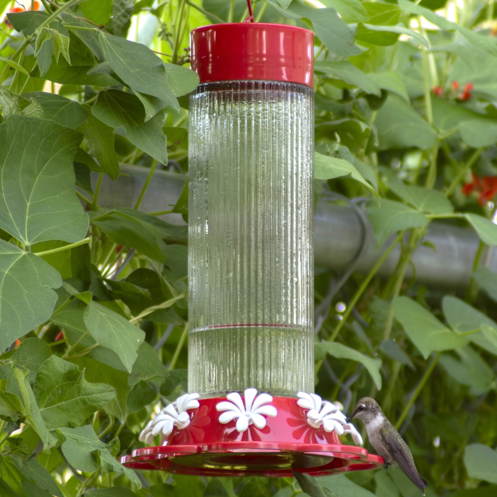 Natures Way Hanging Glass Hummingbird Feeder for Outdoor D  cor, 28 Ounce Capacity Nectar Feeder, Ant Moat, 7 Easy to Clean Fle