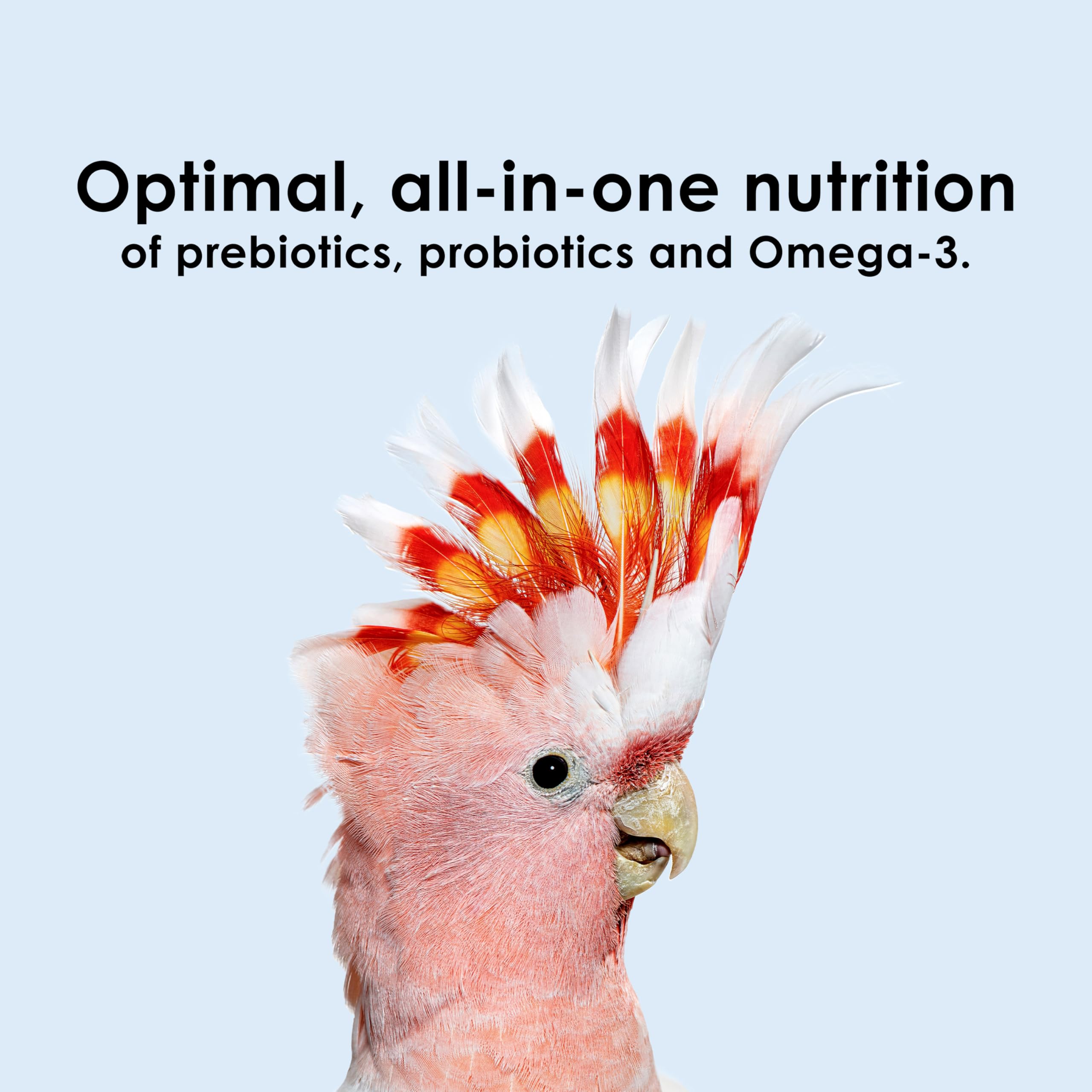 Kaytee NutriSoft Macaw and Cockatoo Food - 3 lb