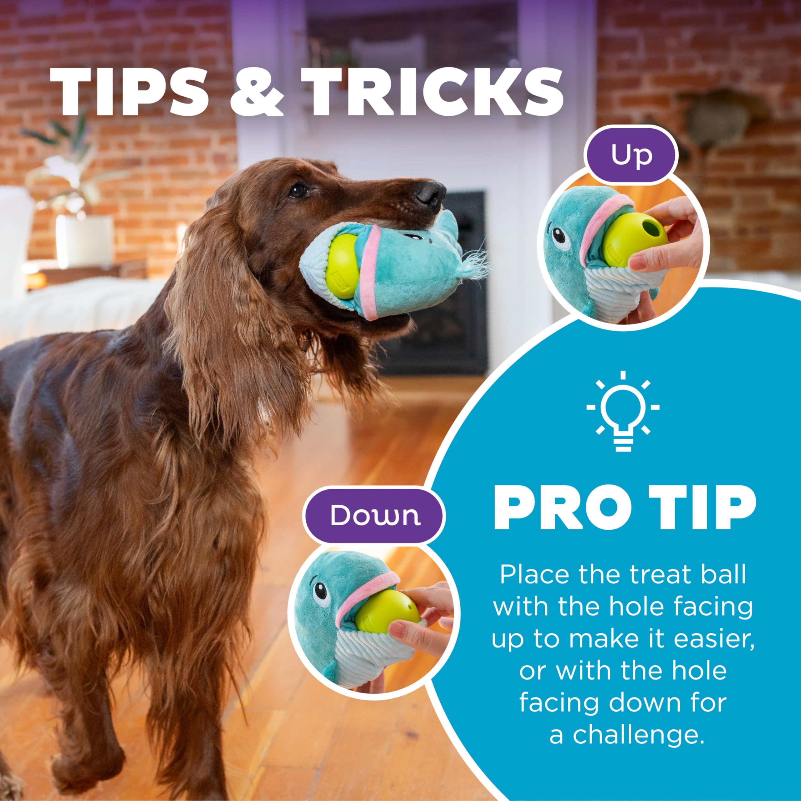 Outward Hound Big Mouthz Interactive Plush Dog Puzzle, Whale, One-Size, Model 71526, Durable Plastic Treat Ball