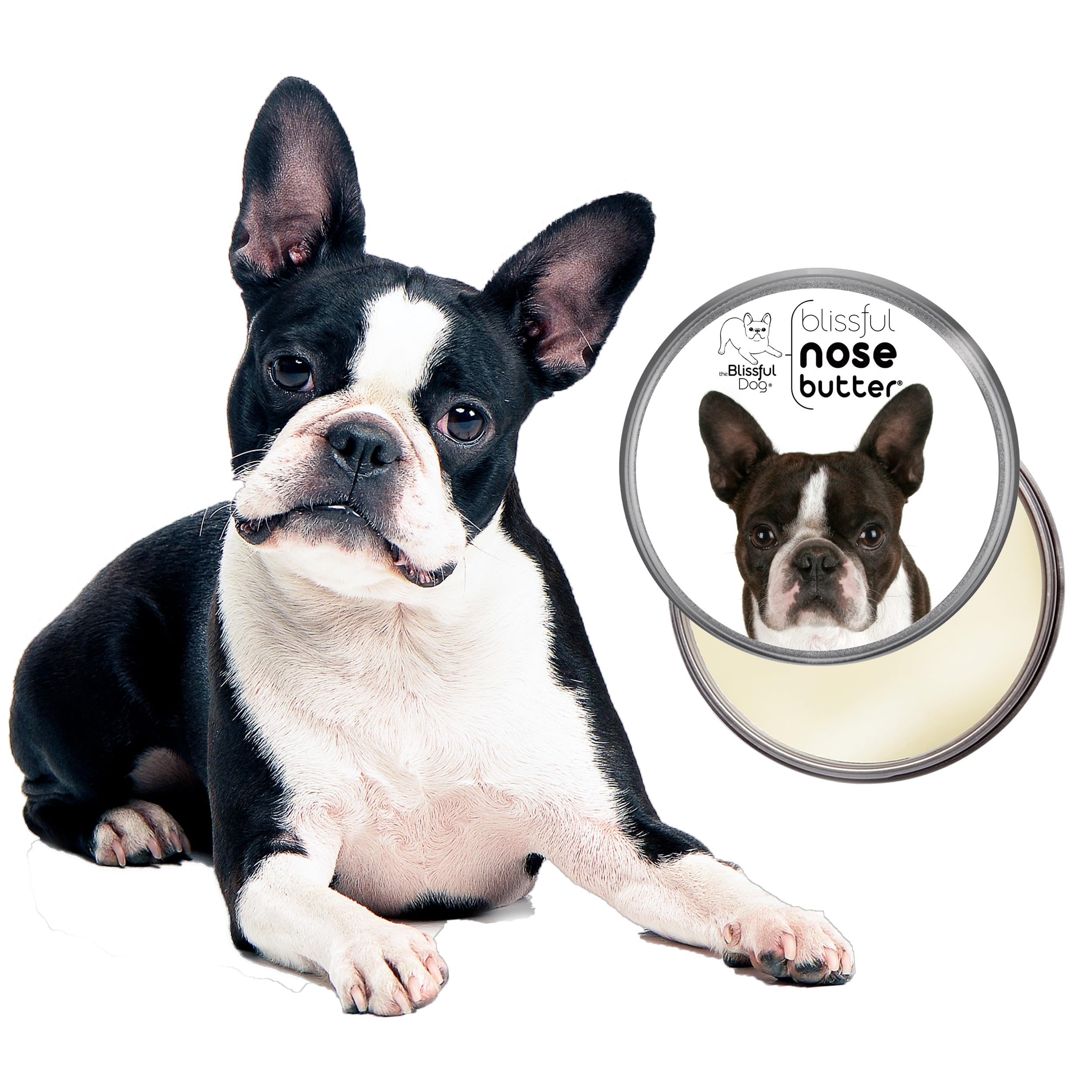 The Blissful Dog Boston Terrier Nose Butter, Versatile Dog Nose Balm for Dry Nose, Handcrafted Nose Moisturizer, Easy-to-Apply D