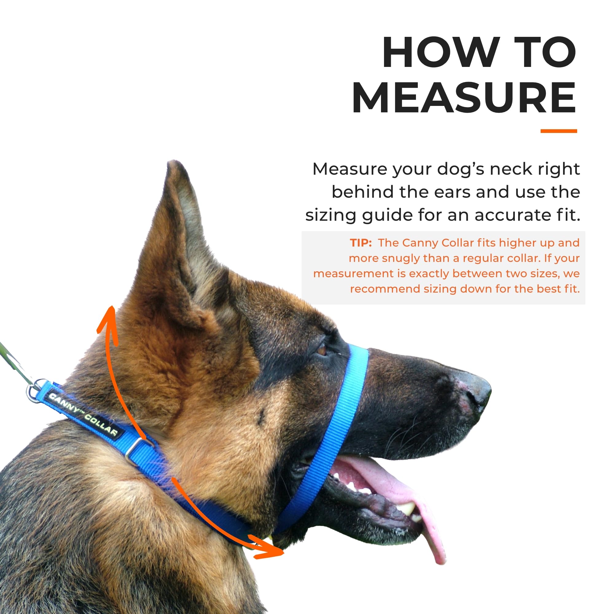 Canny Collar No Pull Dog Training Headcollar - Black Size 4, Nylon, Model 02-1005, Safe and Comfortable for Easy Walks