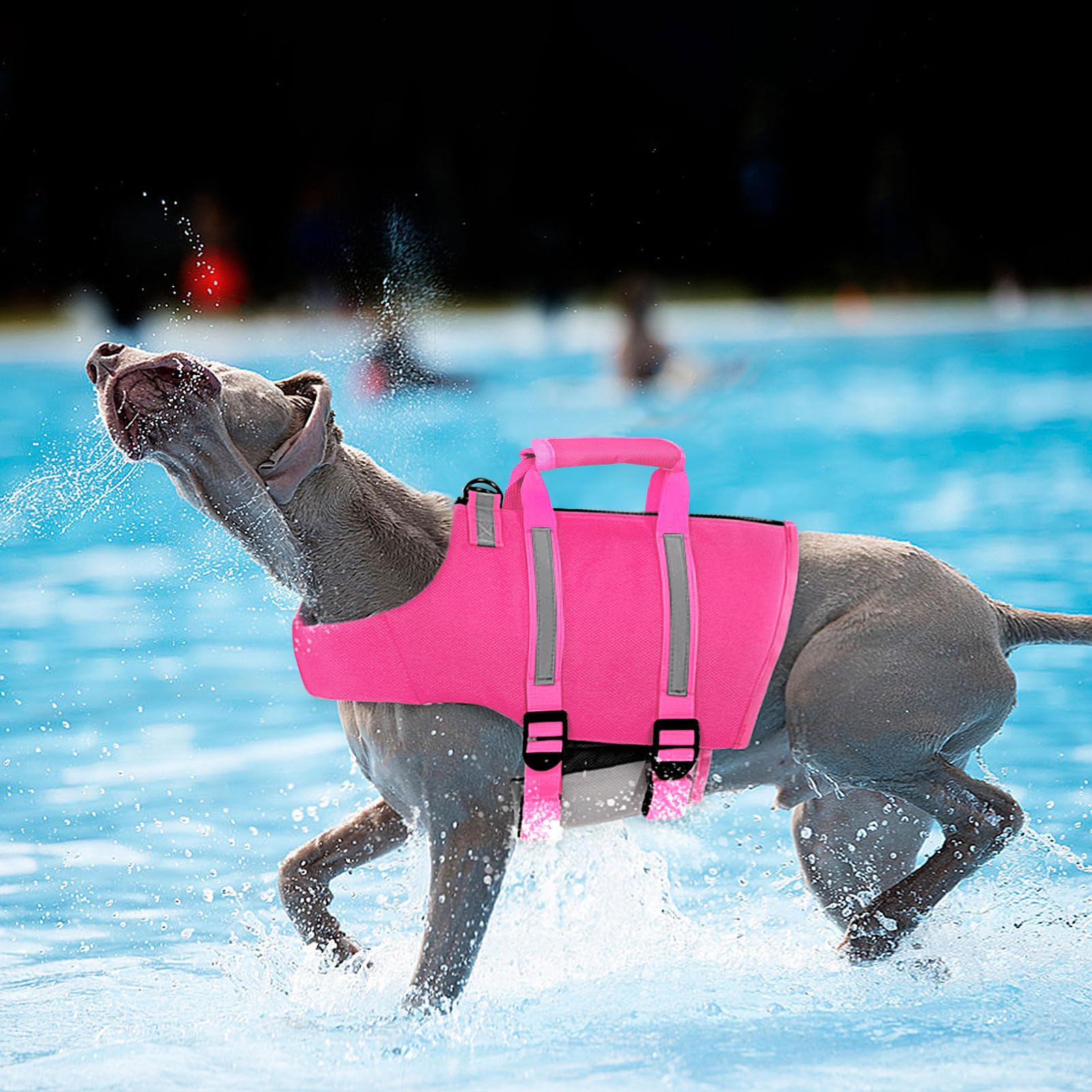 Queenmore Large Dog Life Jacket - Fuchsia, Lightweight, Adjustable, Reflective, with Back Zip & Rescue Handle