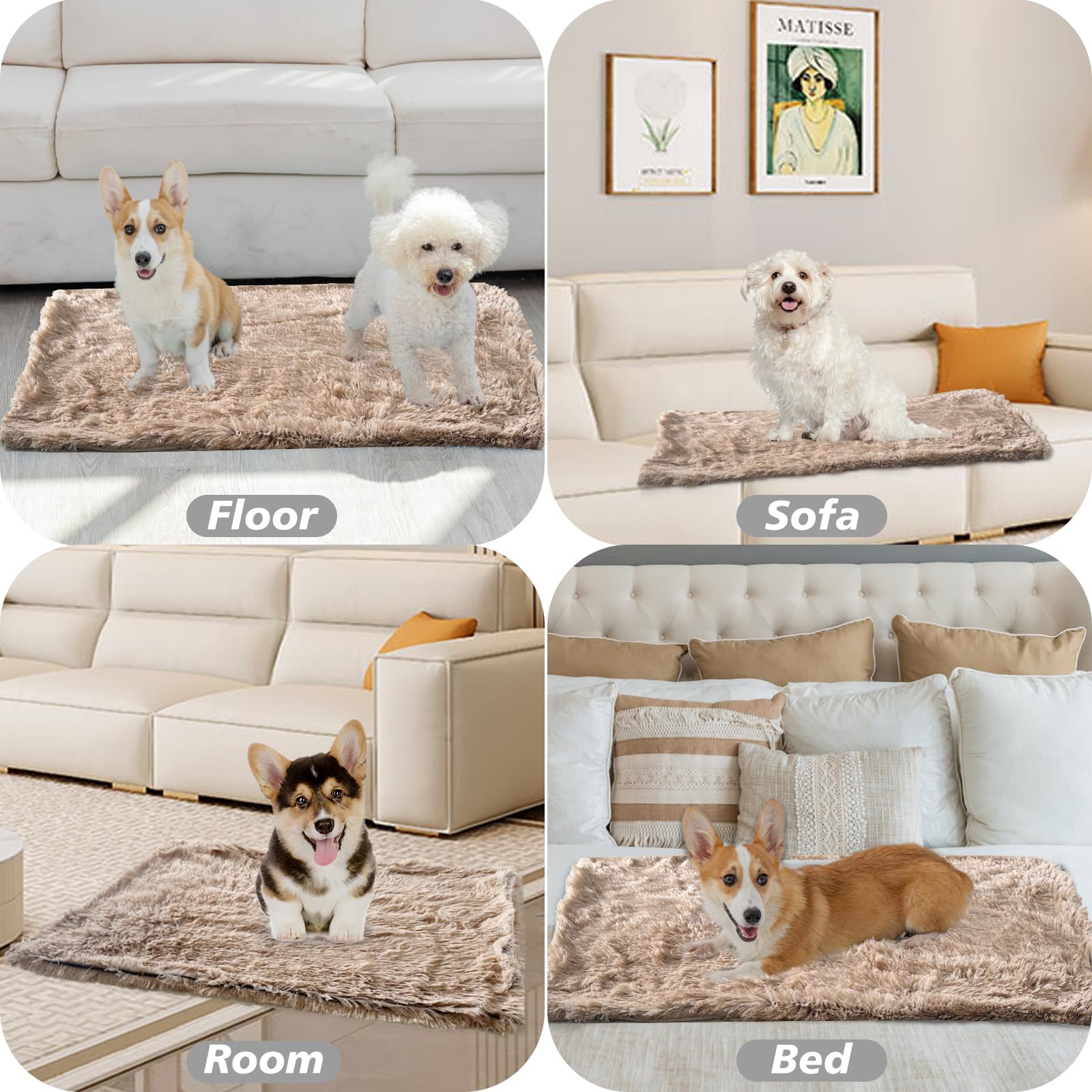 PJYuCien Fluffy Fleece Pet Blanket - Super Soft & Warm, 30" x 40", Brown, Machine Washable, Ideal for Cats & Dogs, Model 0719