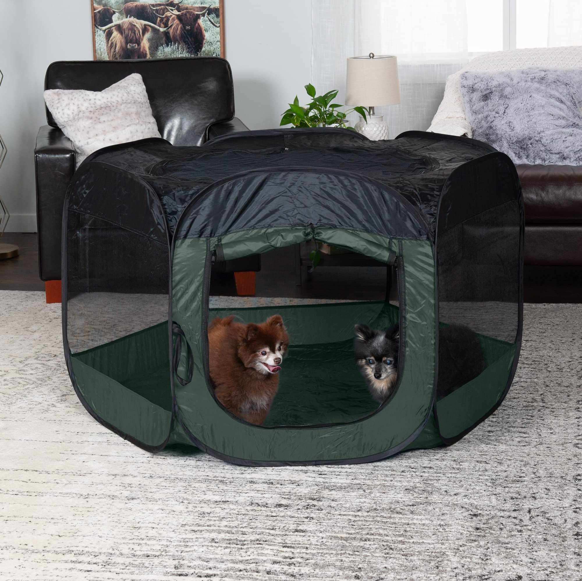Furhaven Pop Up Playpen Pet Tent Playground - Hunter Green, Extra Large