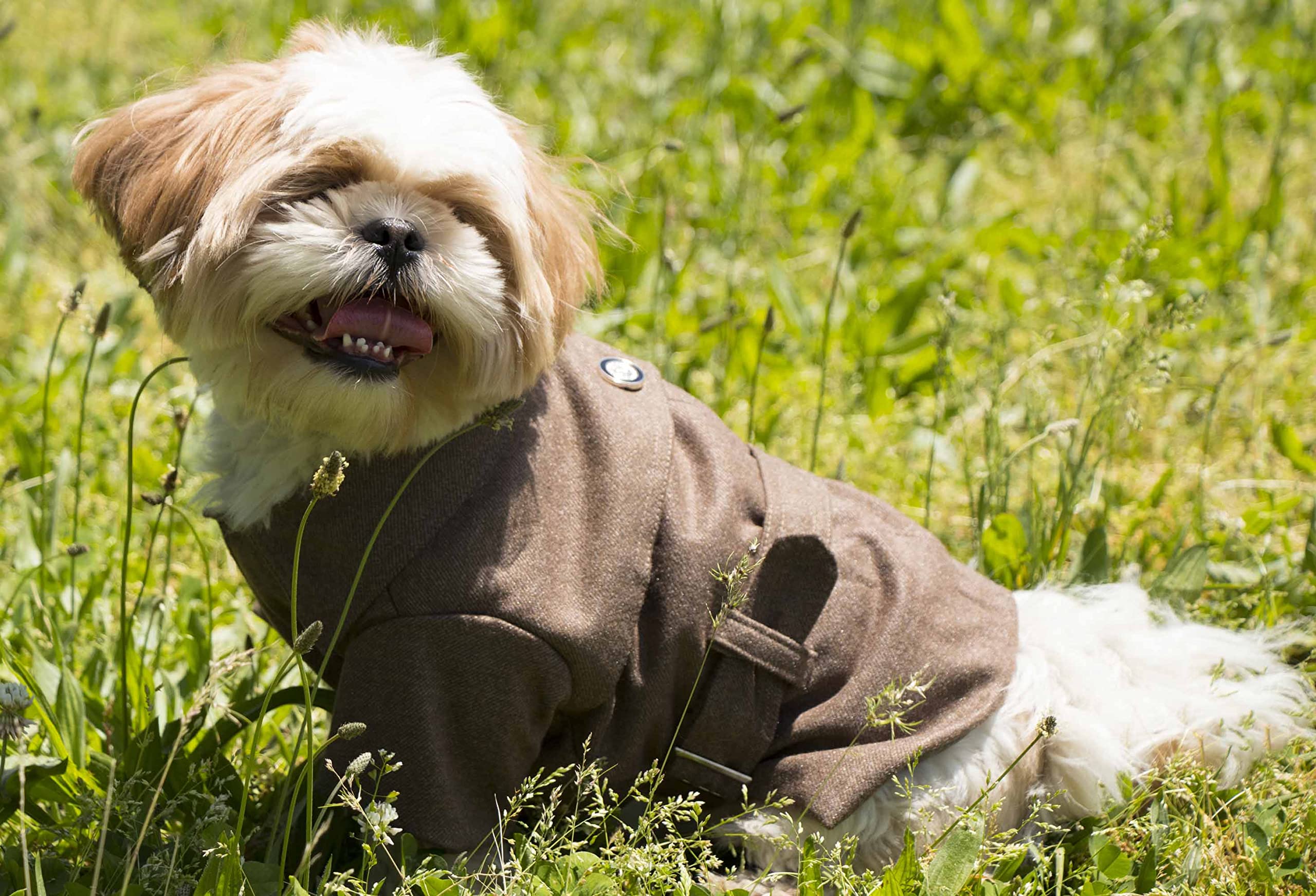 Pet Life Galore Back-Buckled Wool Fashion Dog Jacket - Designer Winter Dog Coat for Small Medium and Large Dogs