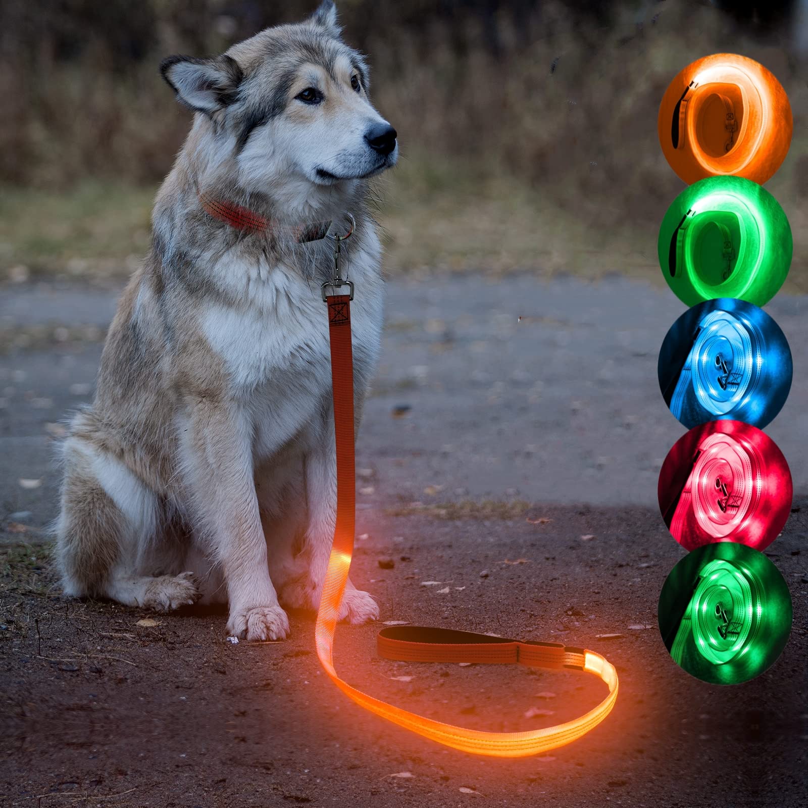 Candofly Reflective Led Dog Leash Rechargeable Pet Leash 4 Ft Dog Rope For Small Medium Large Dogs (Orange)