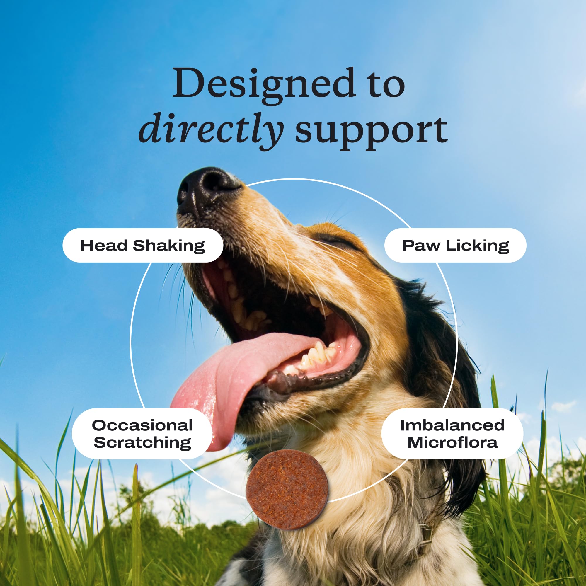 PetLab Co. Allergy & Immune Probiotics for Dogs, Support Seasonal Allergies, Gut & Digestive Health - Pork Flavor - 30 Soft Chew