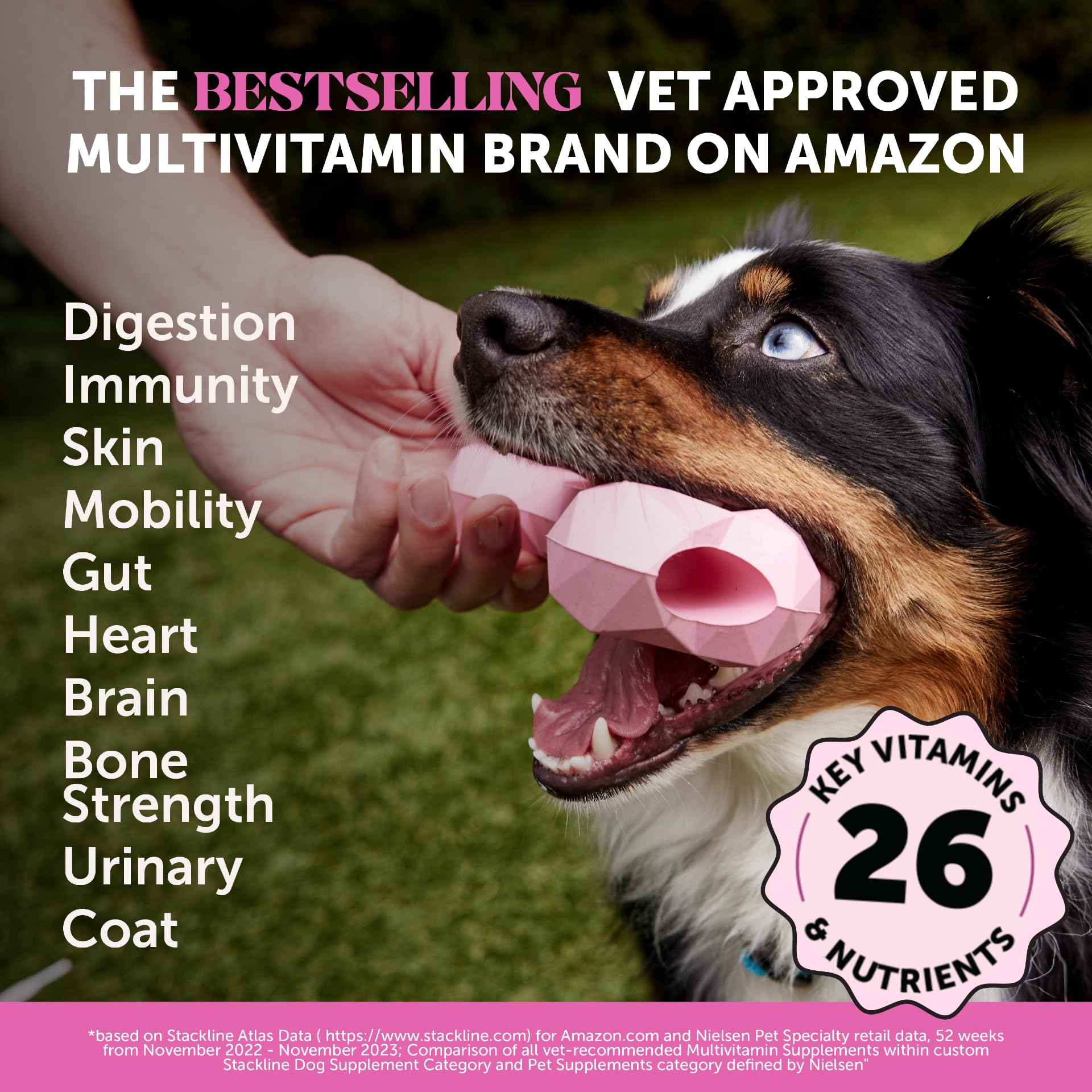 Multivitamin Dog Supplement, Glucosamine chondroitin for Dogs, Probiotics, Omega Fish Oil, Dog Supplements & Vitamins, Vitamins