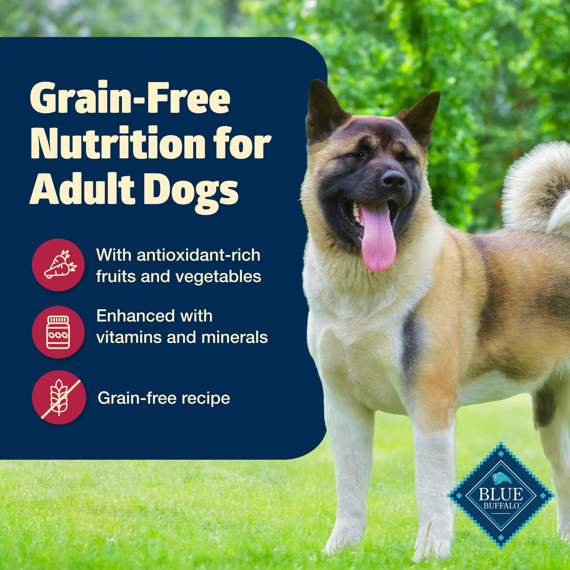 Blue Buffalo Freedom Grain-Free Wet Dog Food, Free of Glutens & Artificial Preservatives, Made With Natural Ingredients, Beef Re
