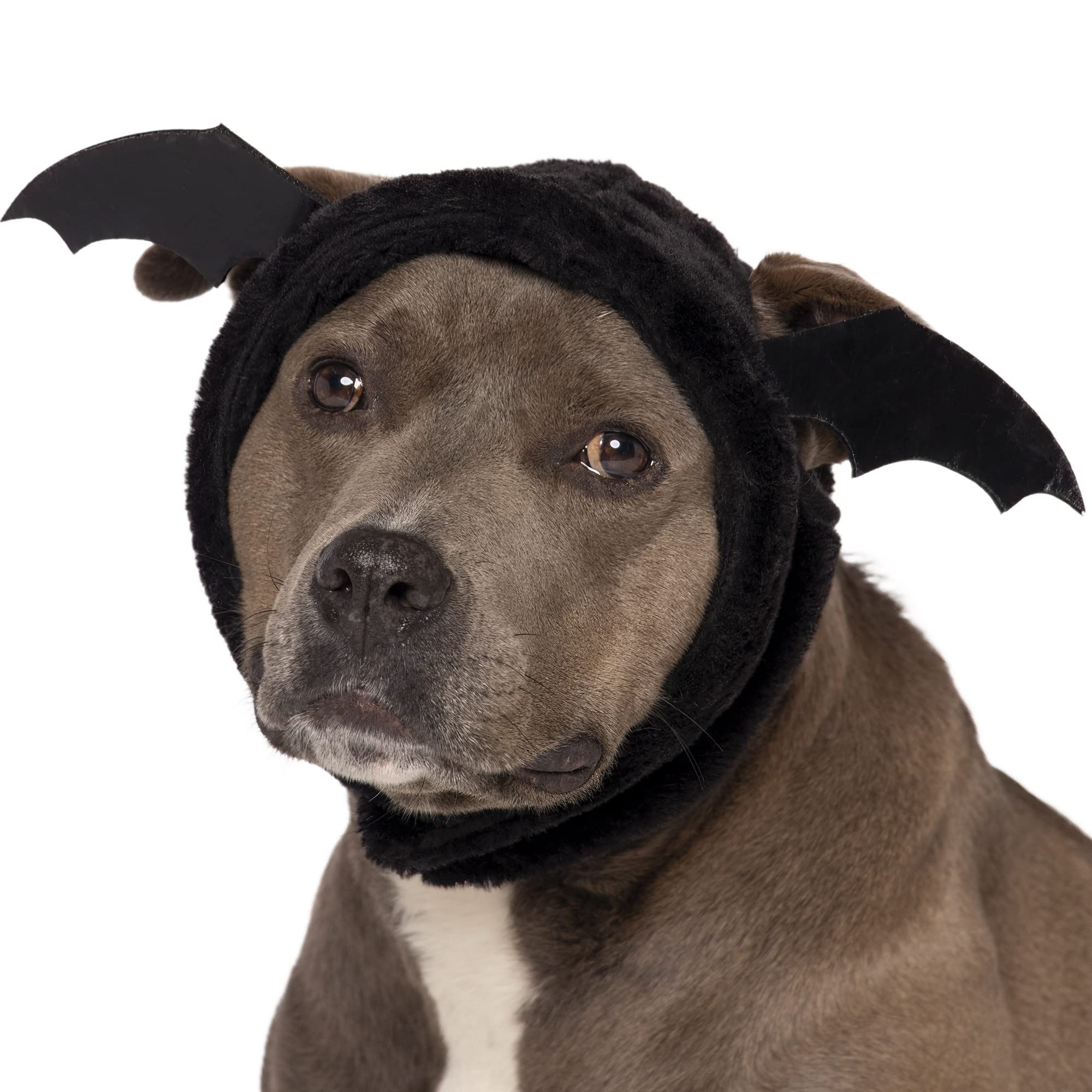 Furhaven Medium Dog Hat Flex-Fit Black Bat Plush Faux Fur Halloween Costume, Washable - Black, Medium