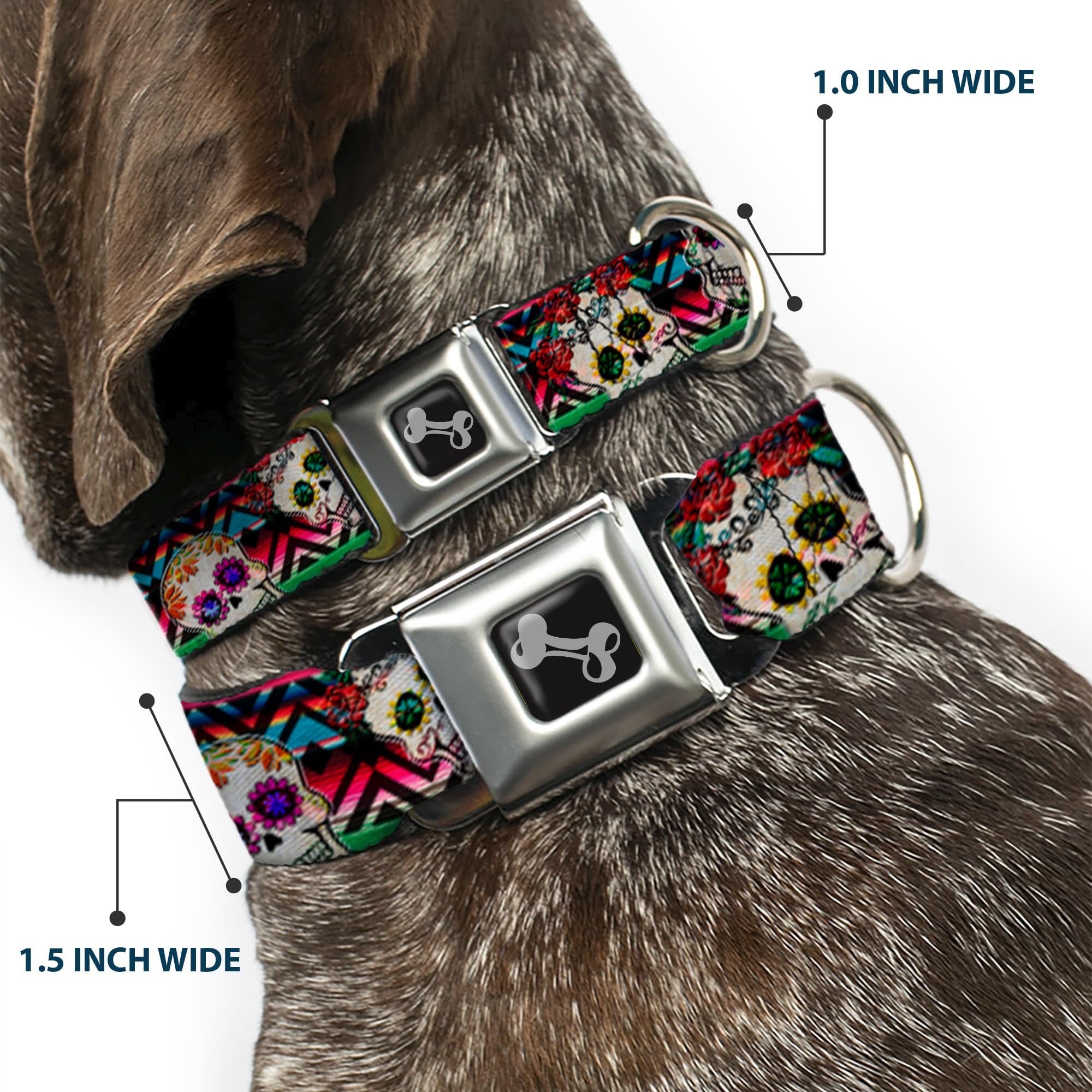 Dog Collar Seatbelt Buckle Sugar Skulls Zarape Multi Color 16 To 23 Inches 1.5 Inch Wide, Dc-W34561-Wm