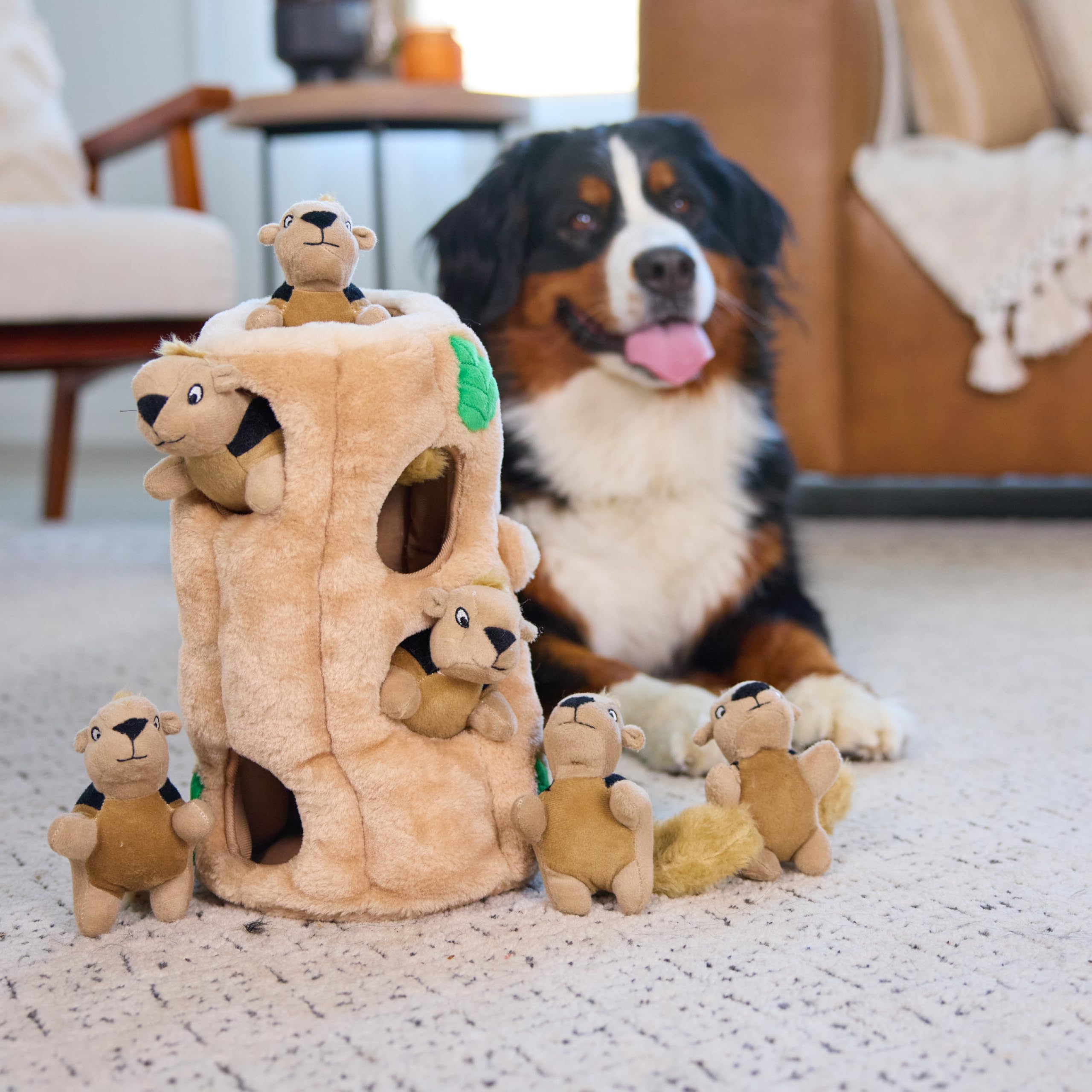 Outward Hound Hide A Squirrel Plush Dog Toy Puzzle, Xl